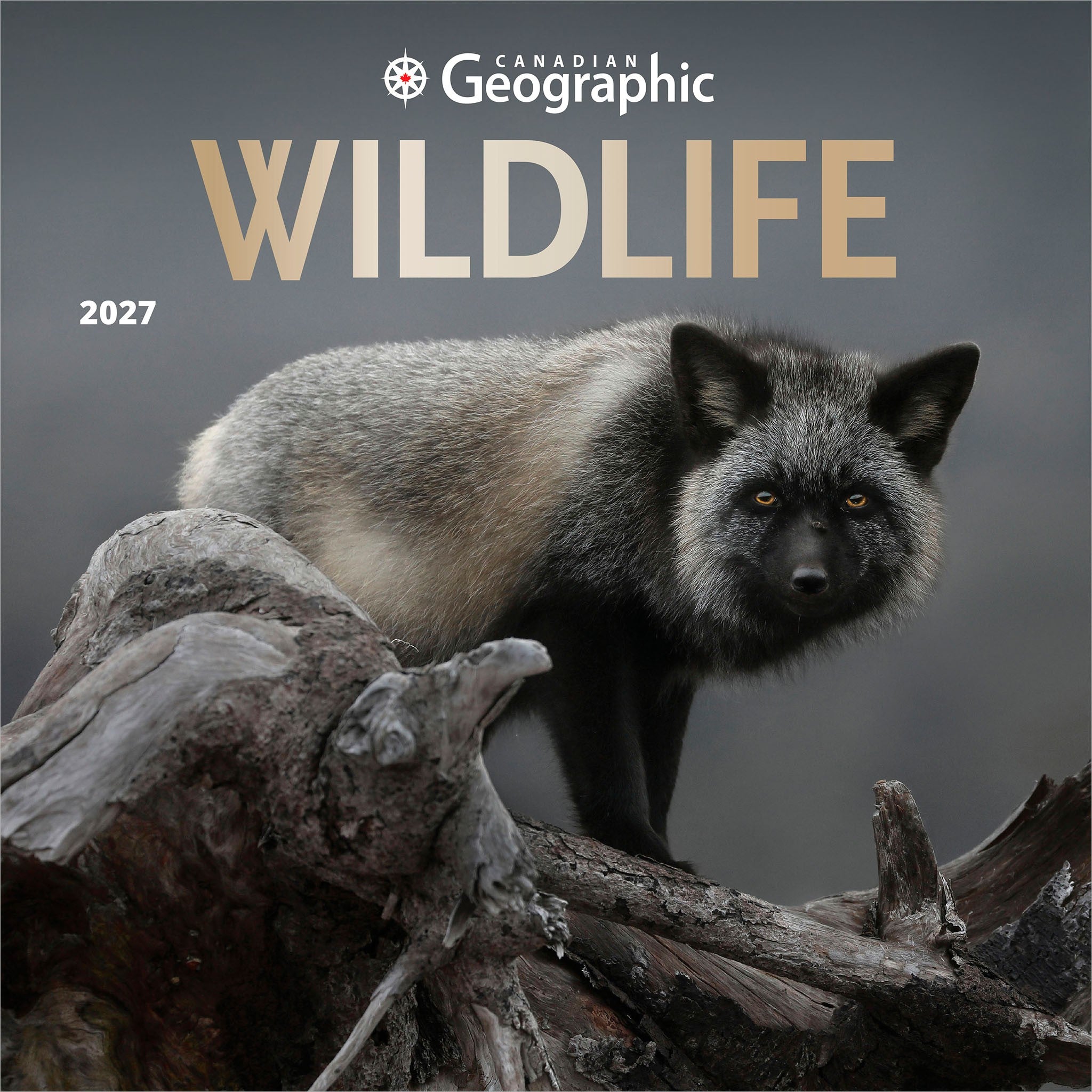 Canadian Geographic Wildlife 2027 Wall Calendar