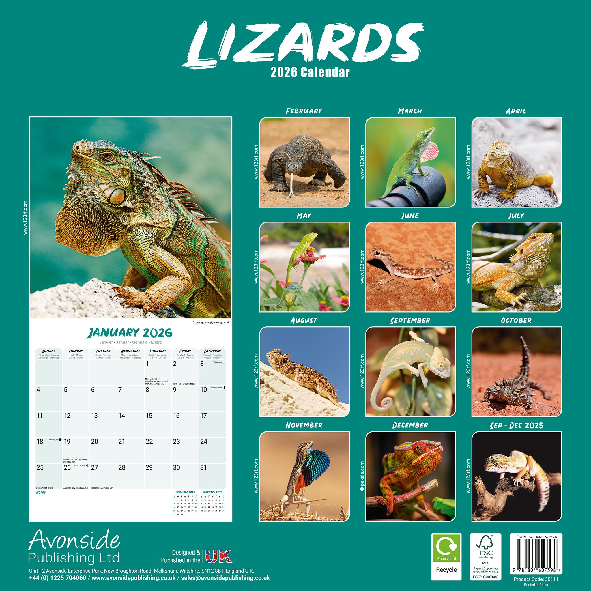 Calendrier mural Lézards 2026