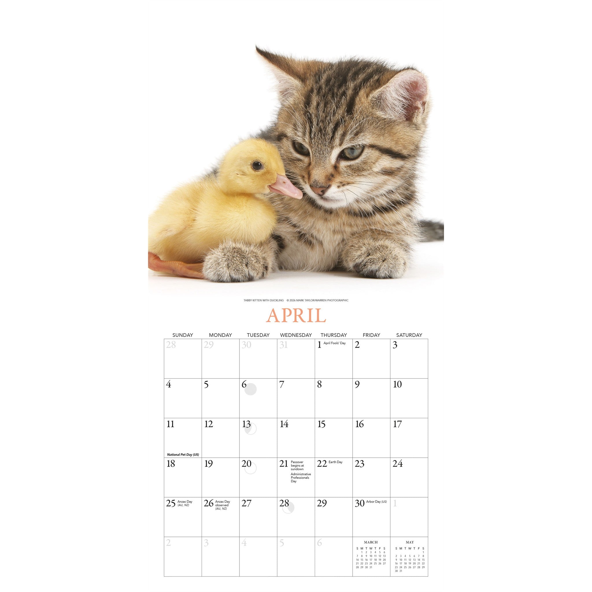 Mini calendrier Chatons et amis 2027
