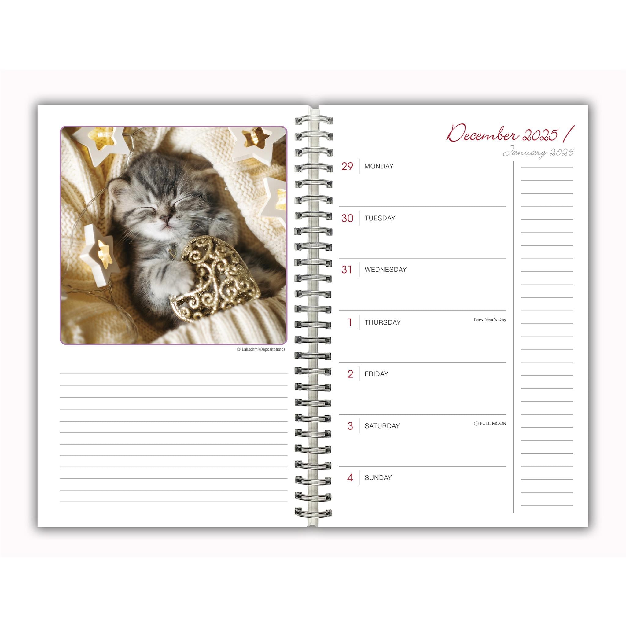 Calendrier des fiançailles Cat Naps 2025-2026