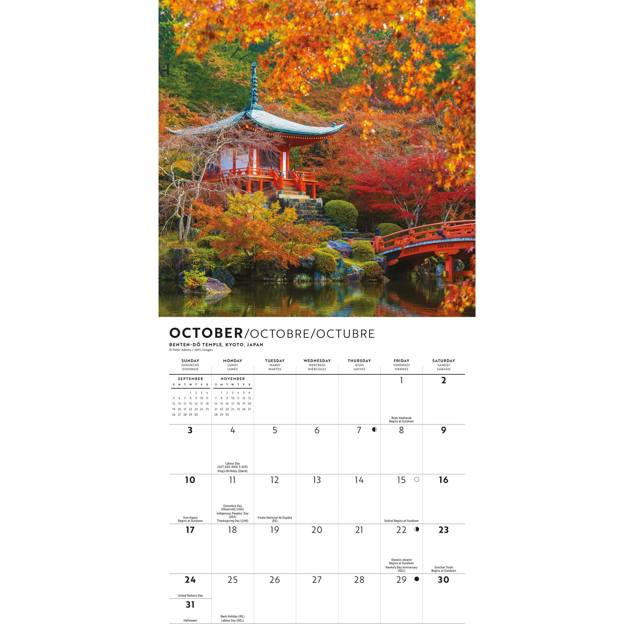 Passport to the World 2027 Mini Calendar
