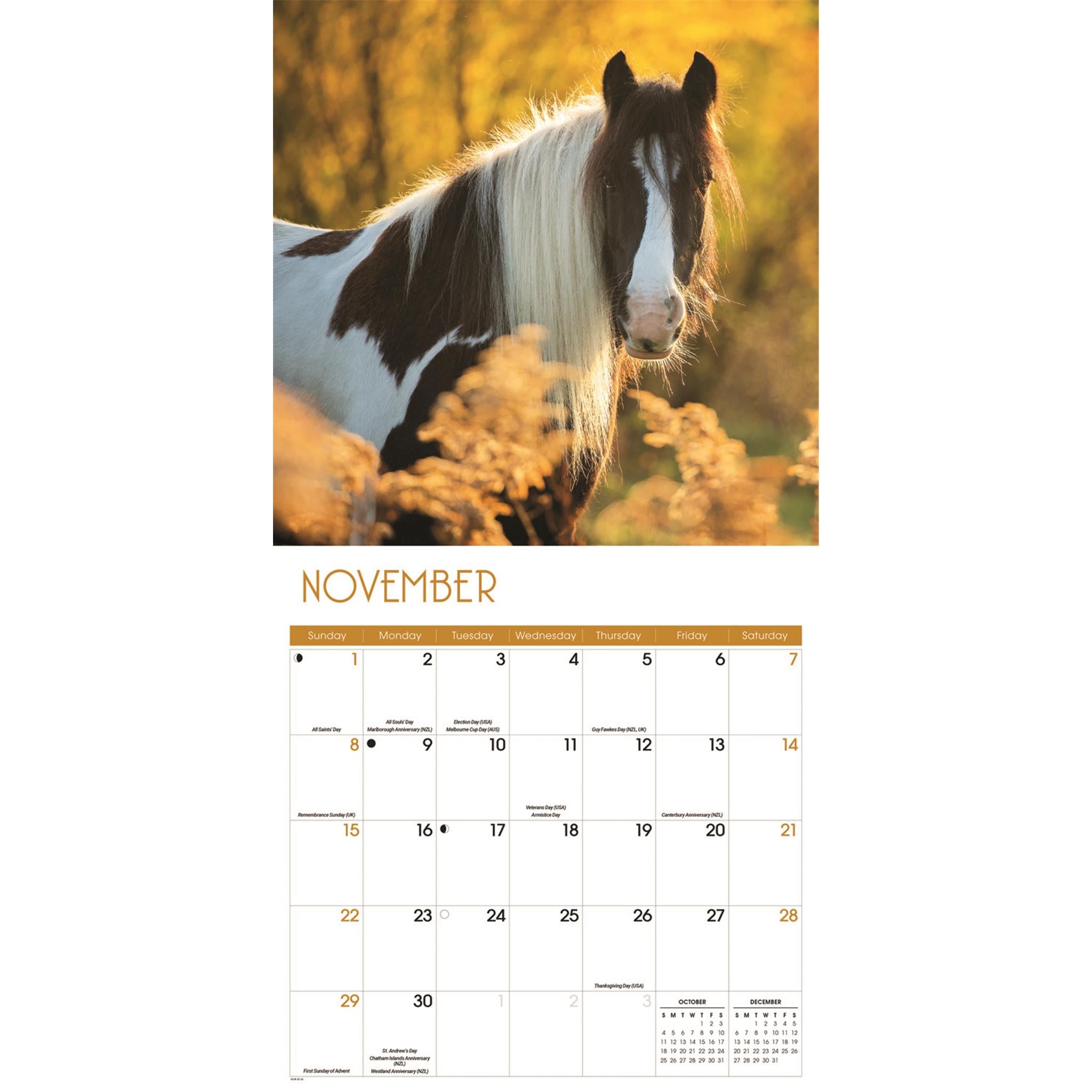 Calendrier mural Chevaux 2026