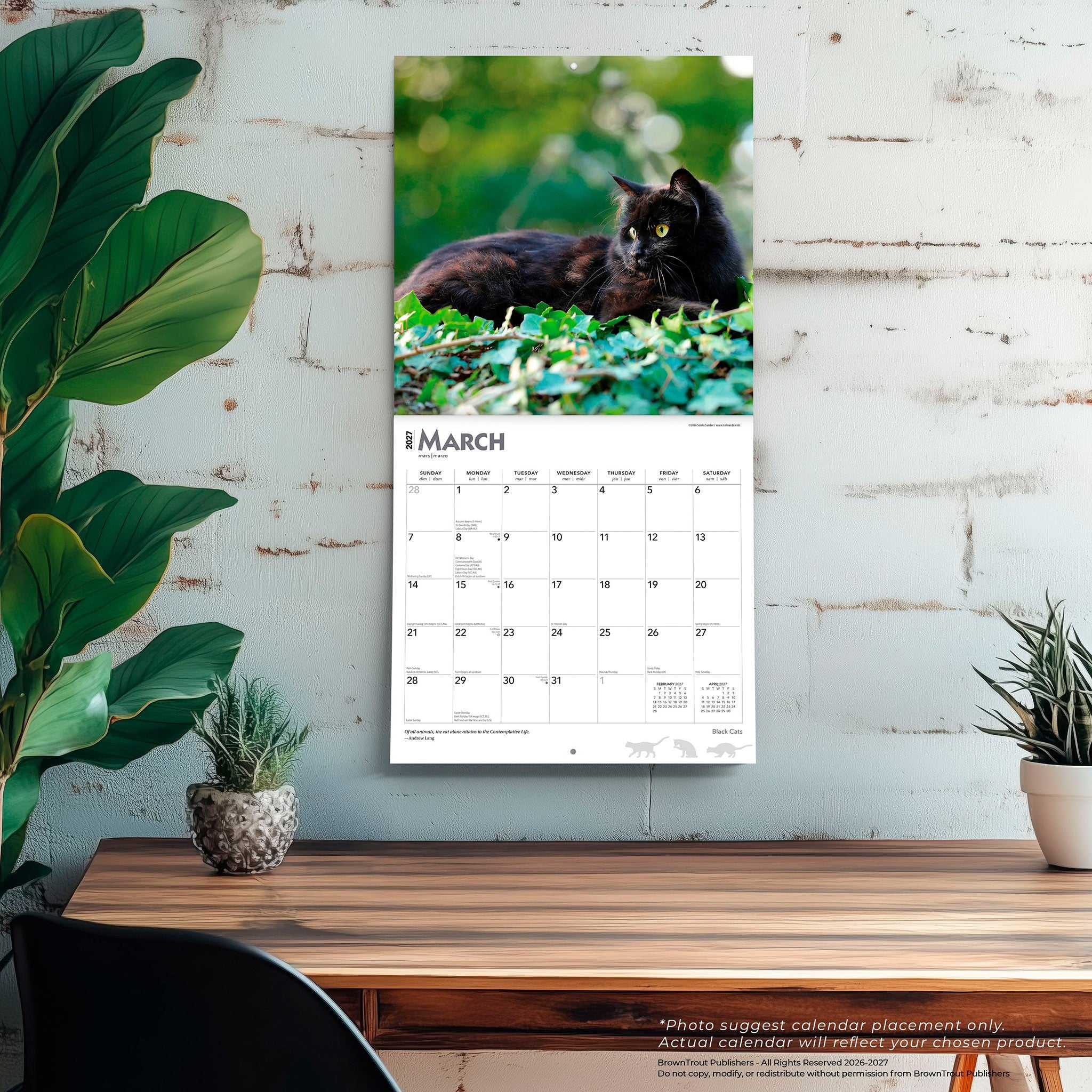 Black Cats 2027 Wall Calendar