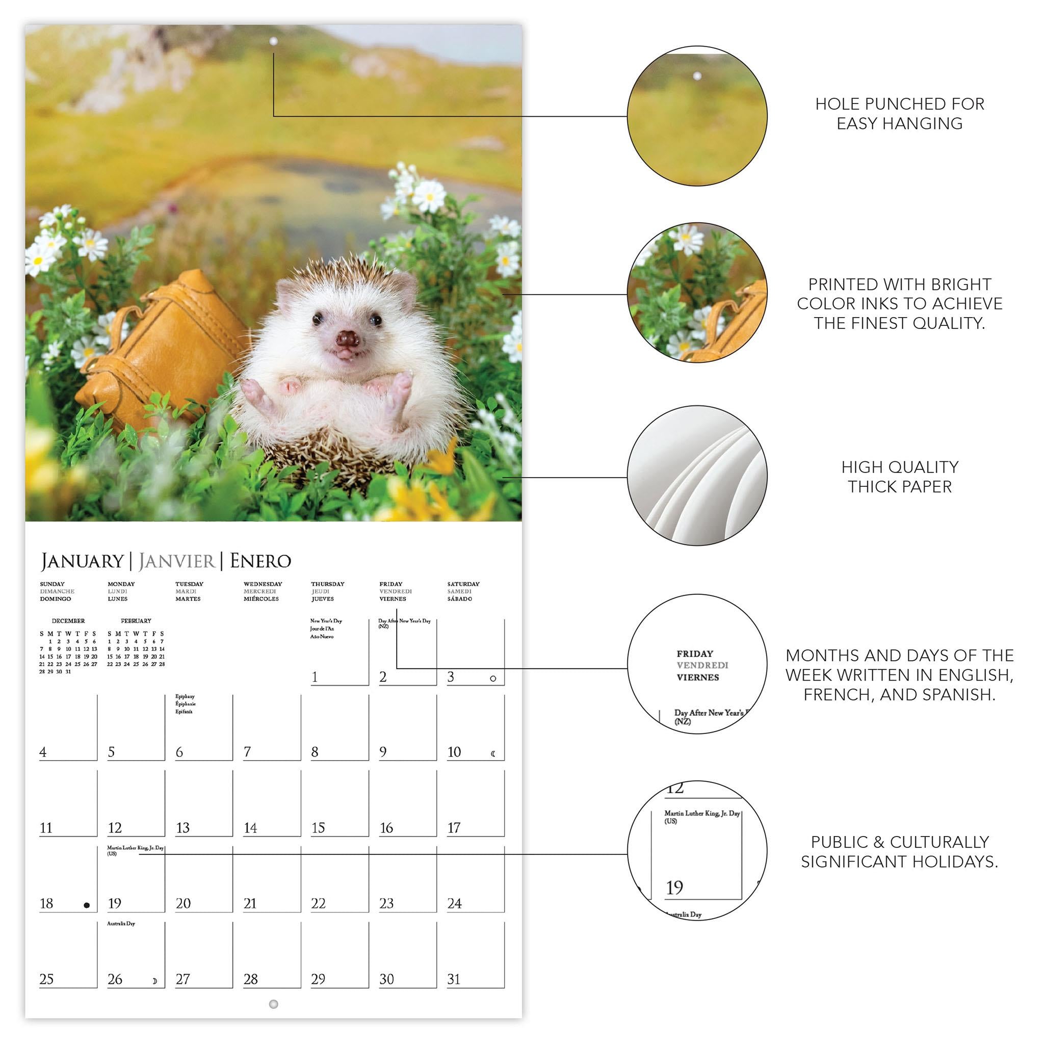 Happiest Hedgehogs 2026 Wall Calendar - Online Only