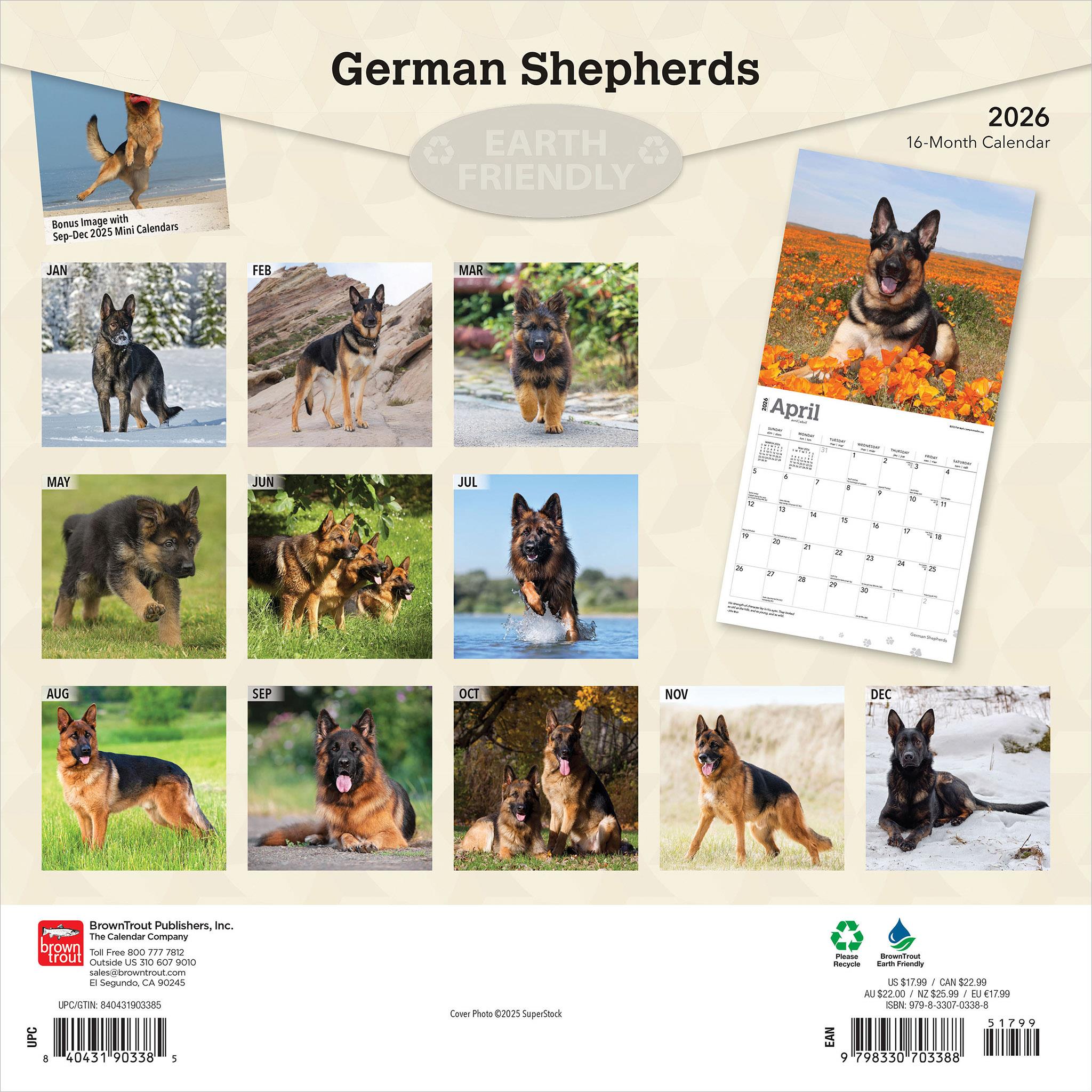 Calendrier mural Bergers allemands 2026 - Disponible uniquement en ligne