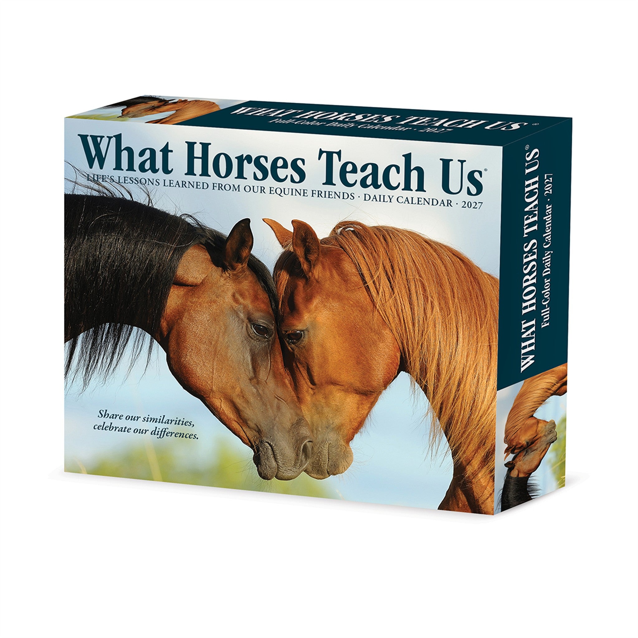 What Horses Teach Us 2027 Box Calendar
