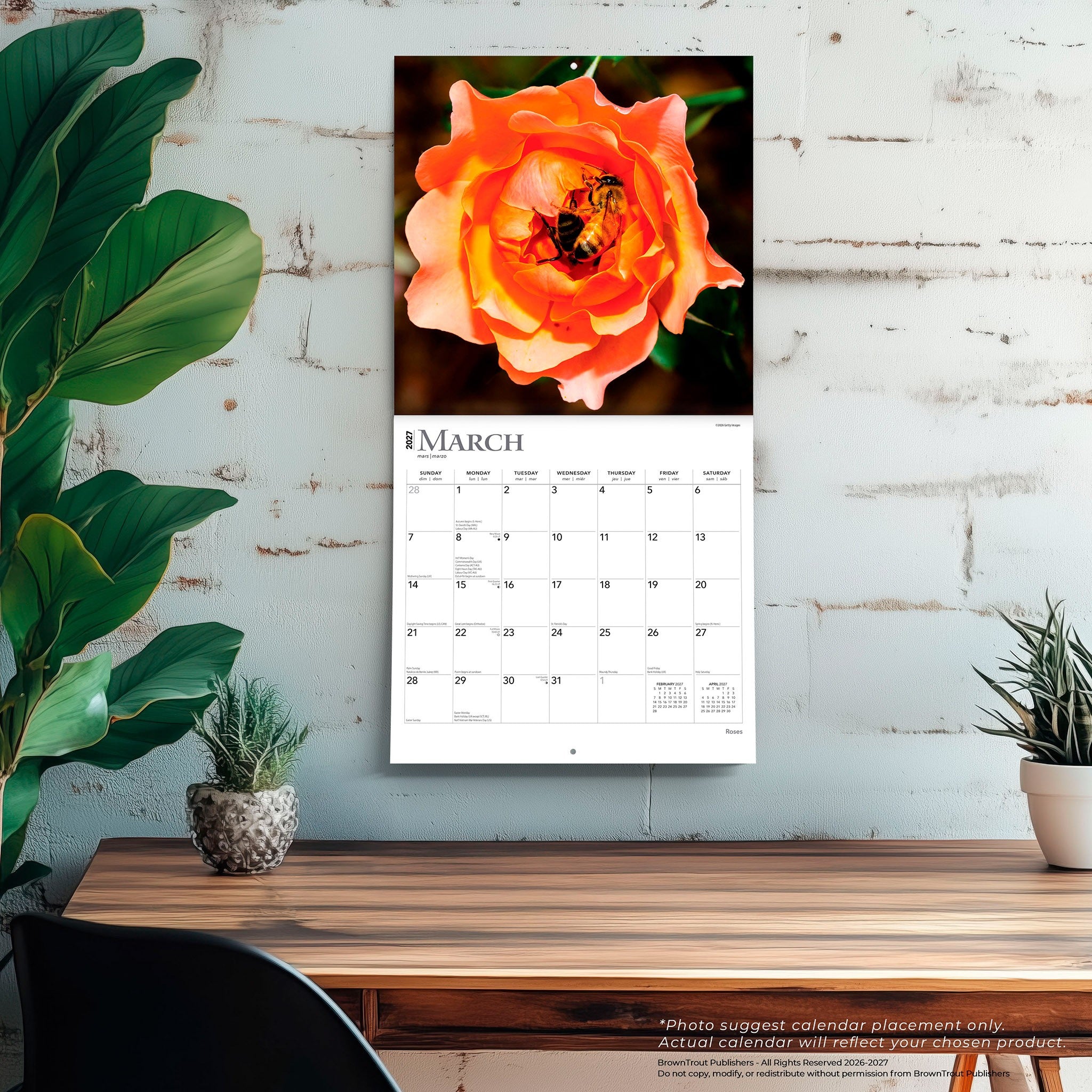 Roses 2027 Wall Calendar - Online Only
