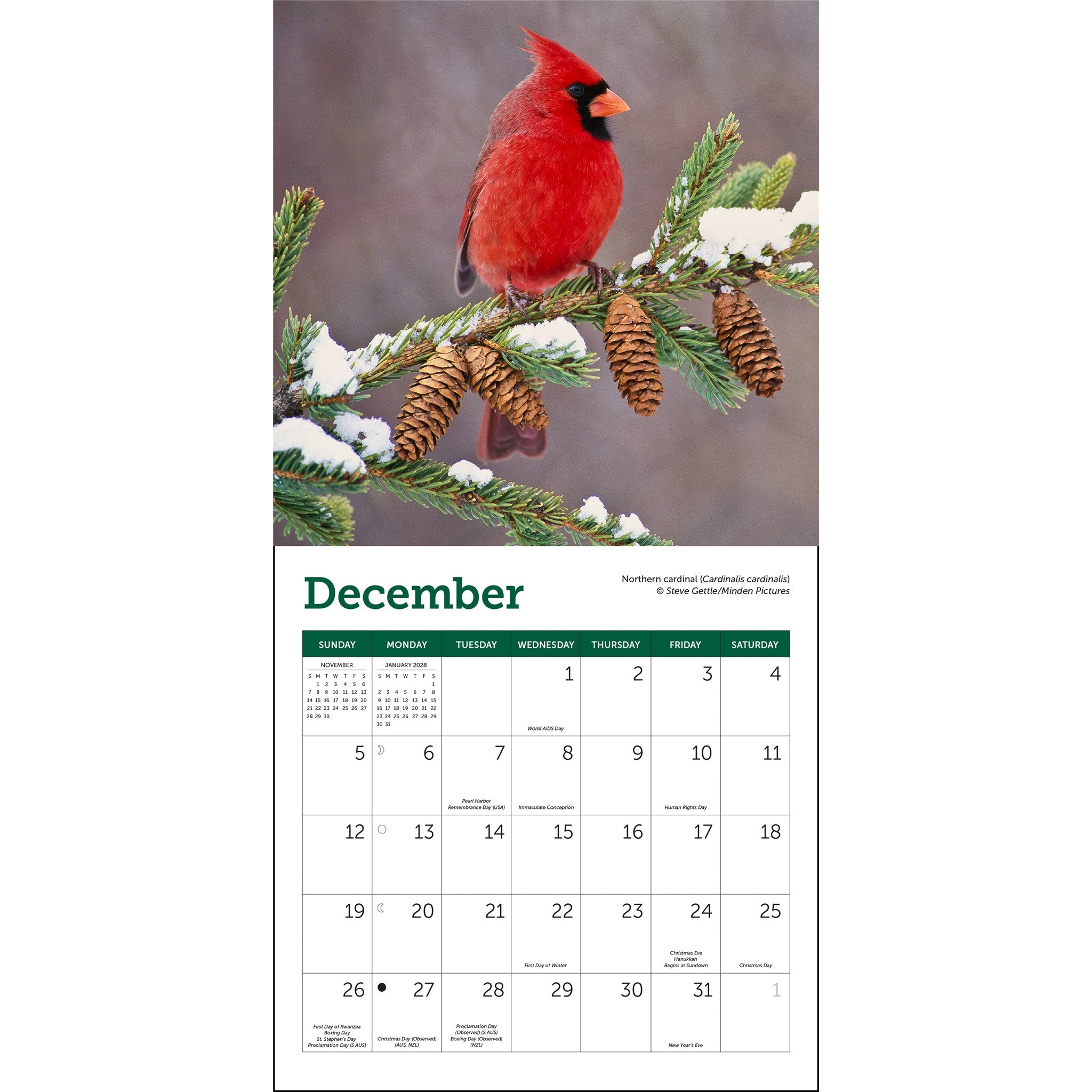 Mini-calendrier 2027 Oiseaux chanteurs