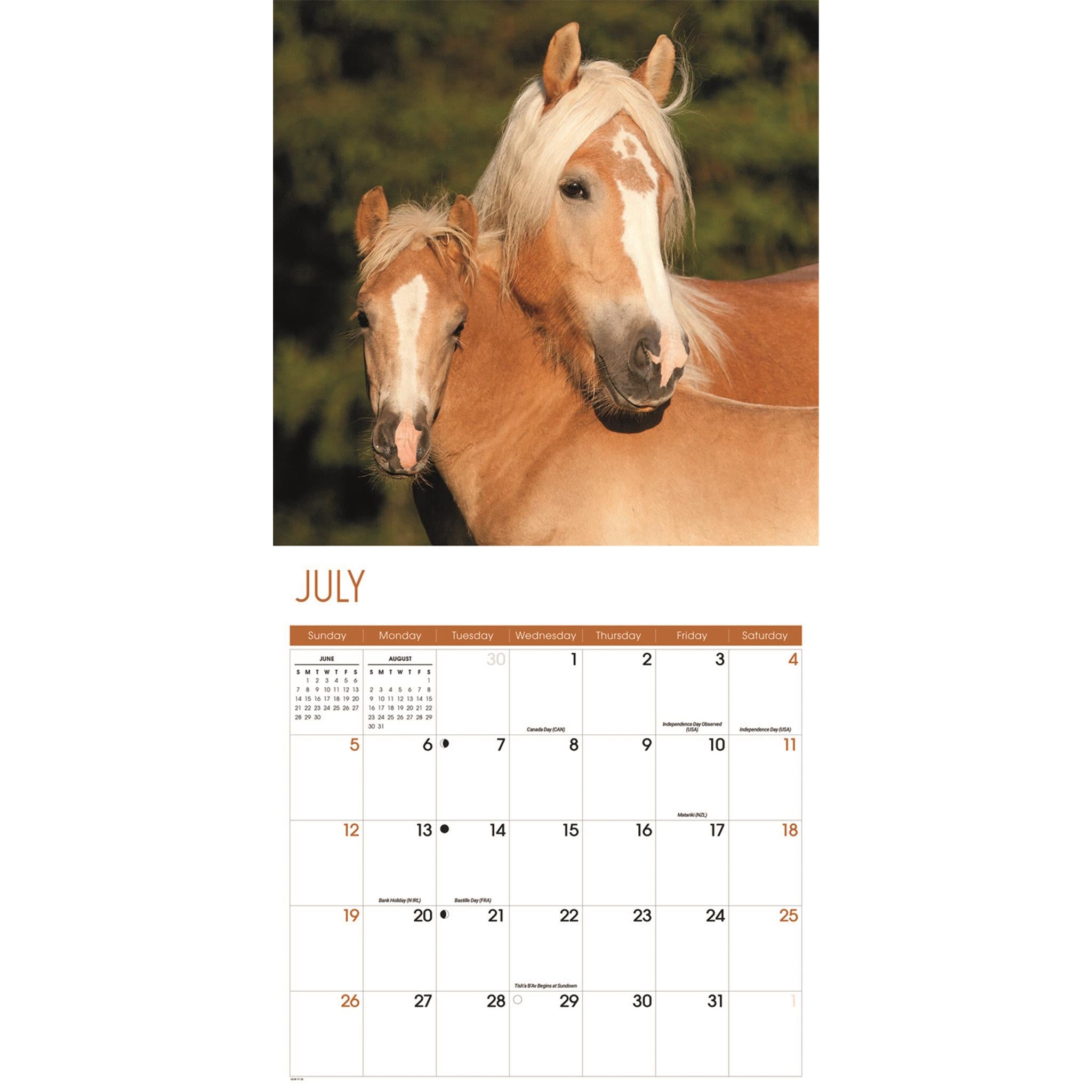 Calendrier mural Chevaux 2026