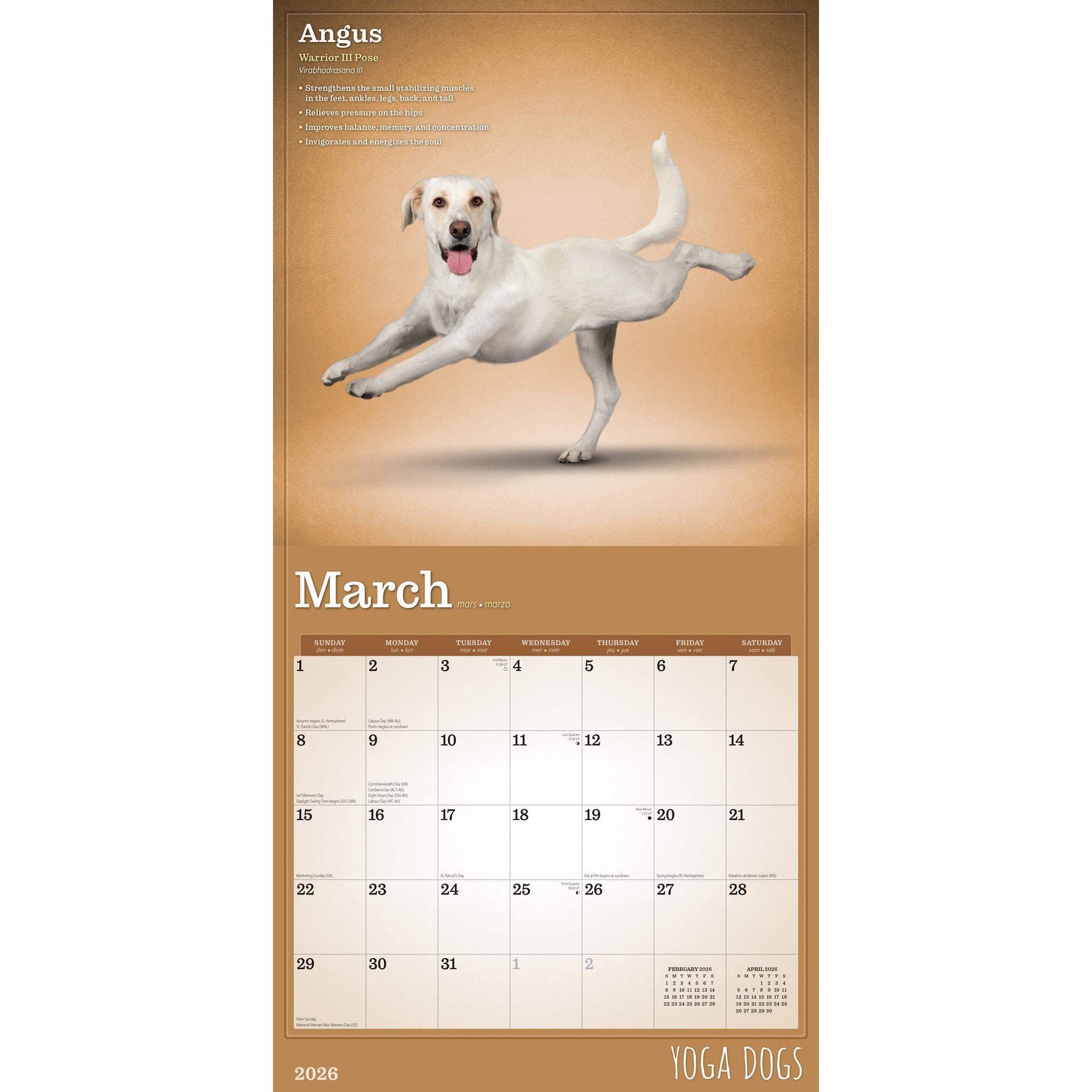 Calendrier mural Yoga Dogs 2026