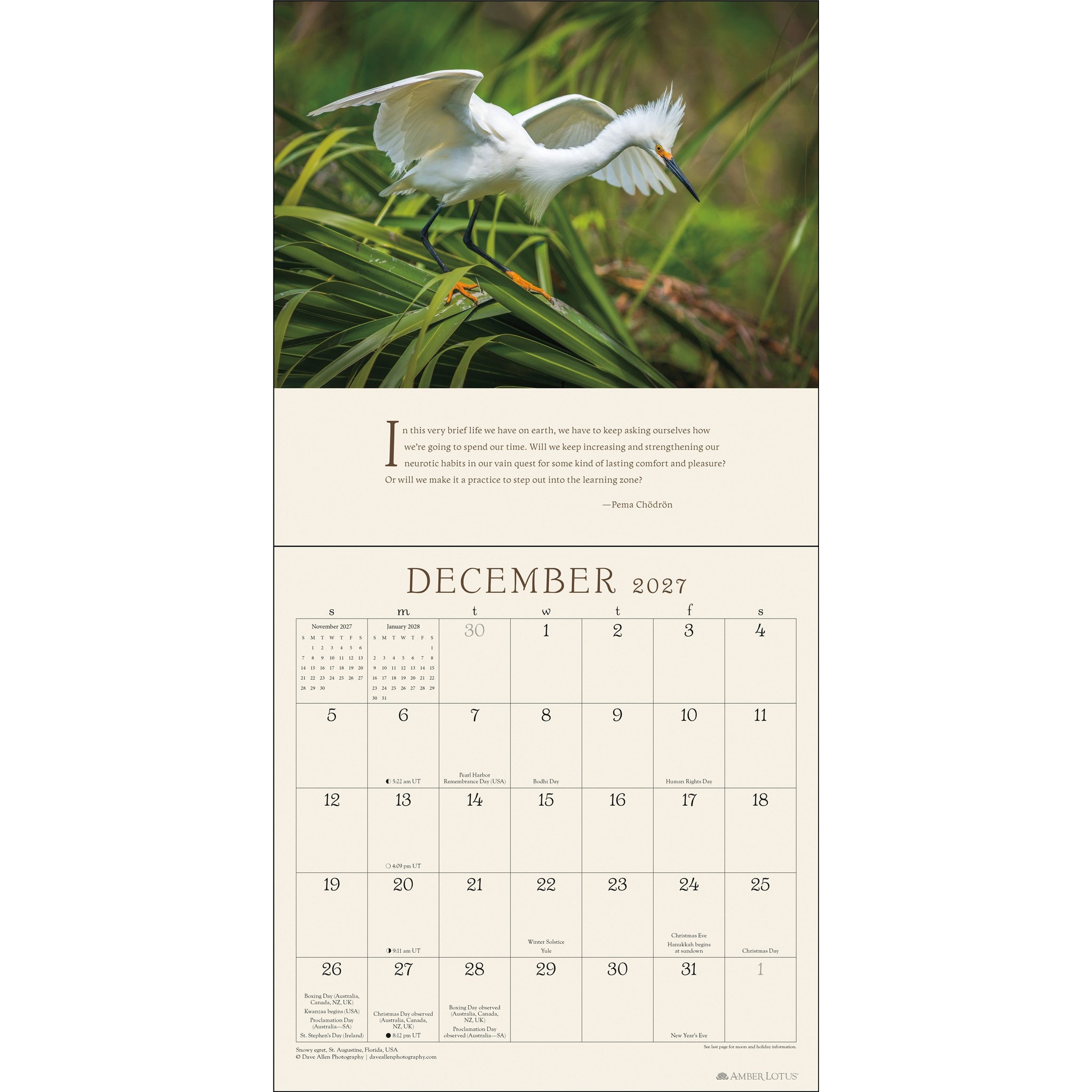 Calendrier mural Pema Chödrön 2027 – Exclusivité en ligne