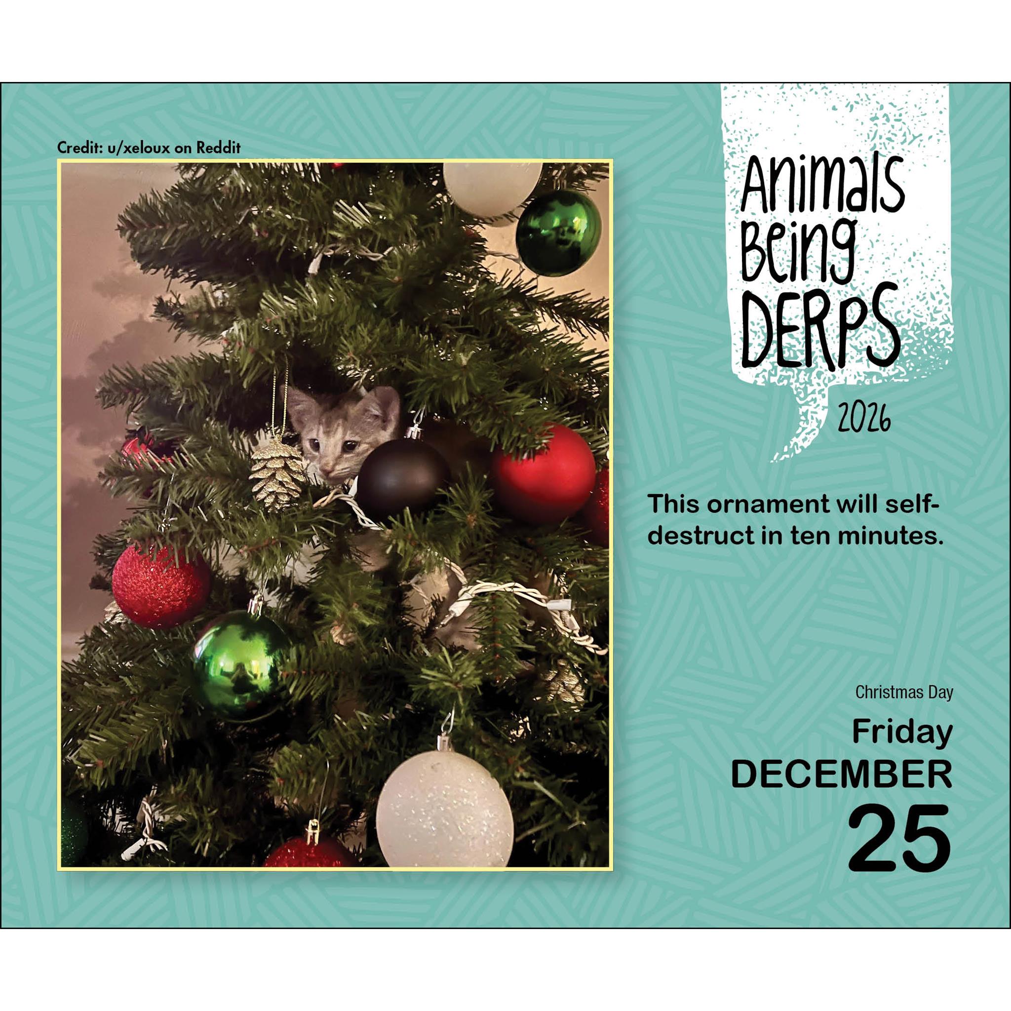 Calendrier de la boîte Animaux Bêtises 2026