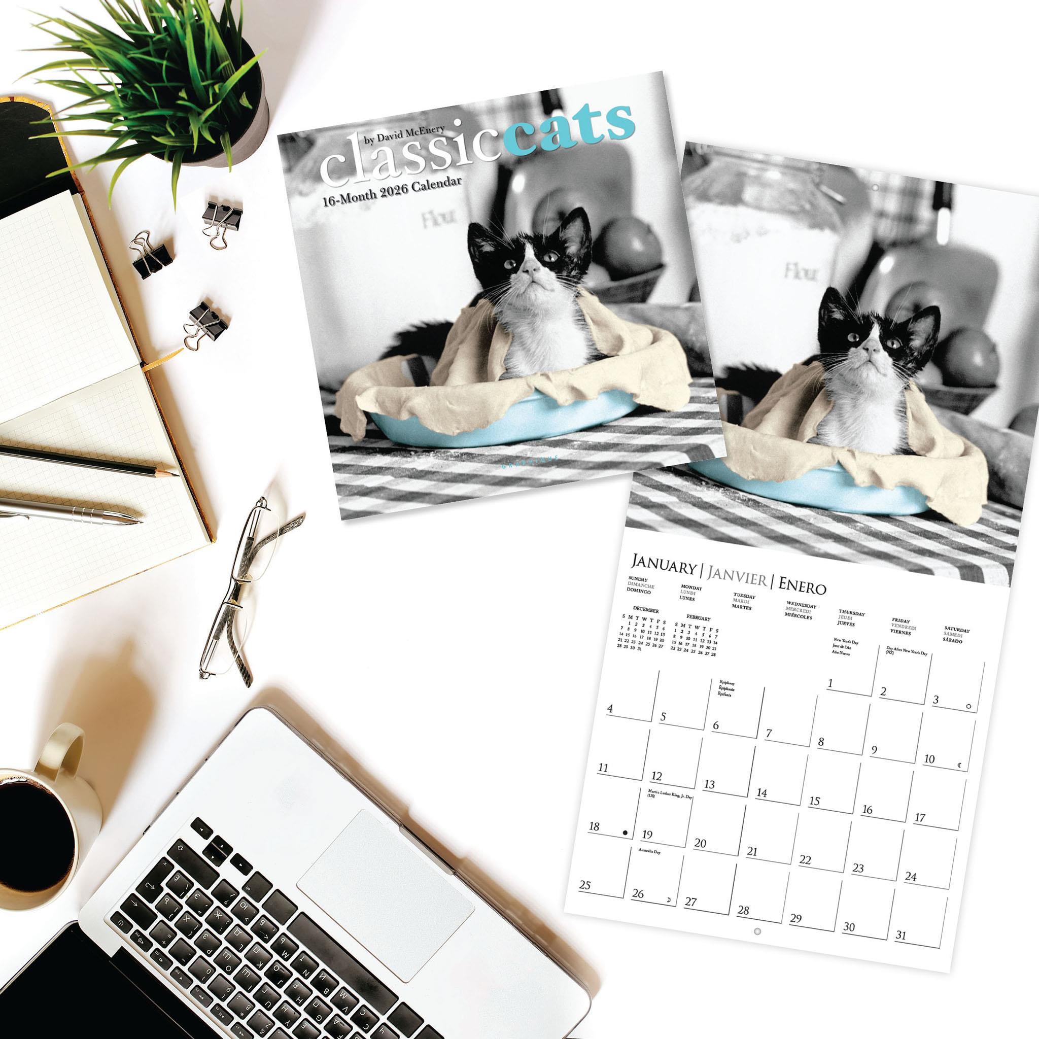 Classic Cats 2026 Mini Calendar