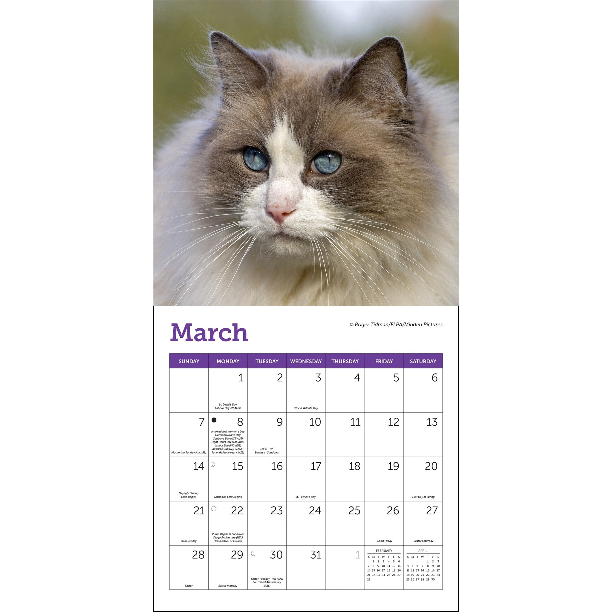 Mini calendrier Chats 2027