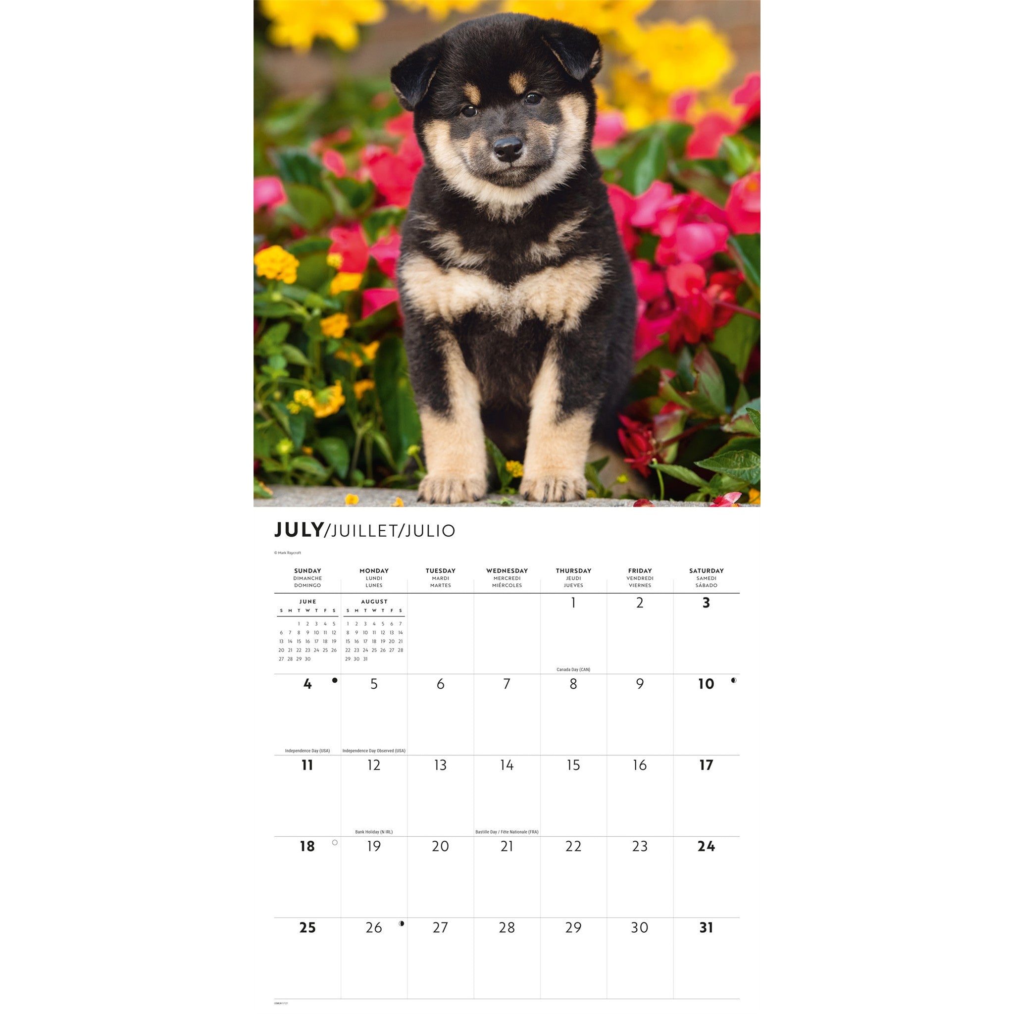 Calendrier mural Shiba Inu 2027