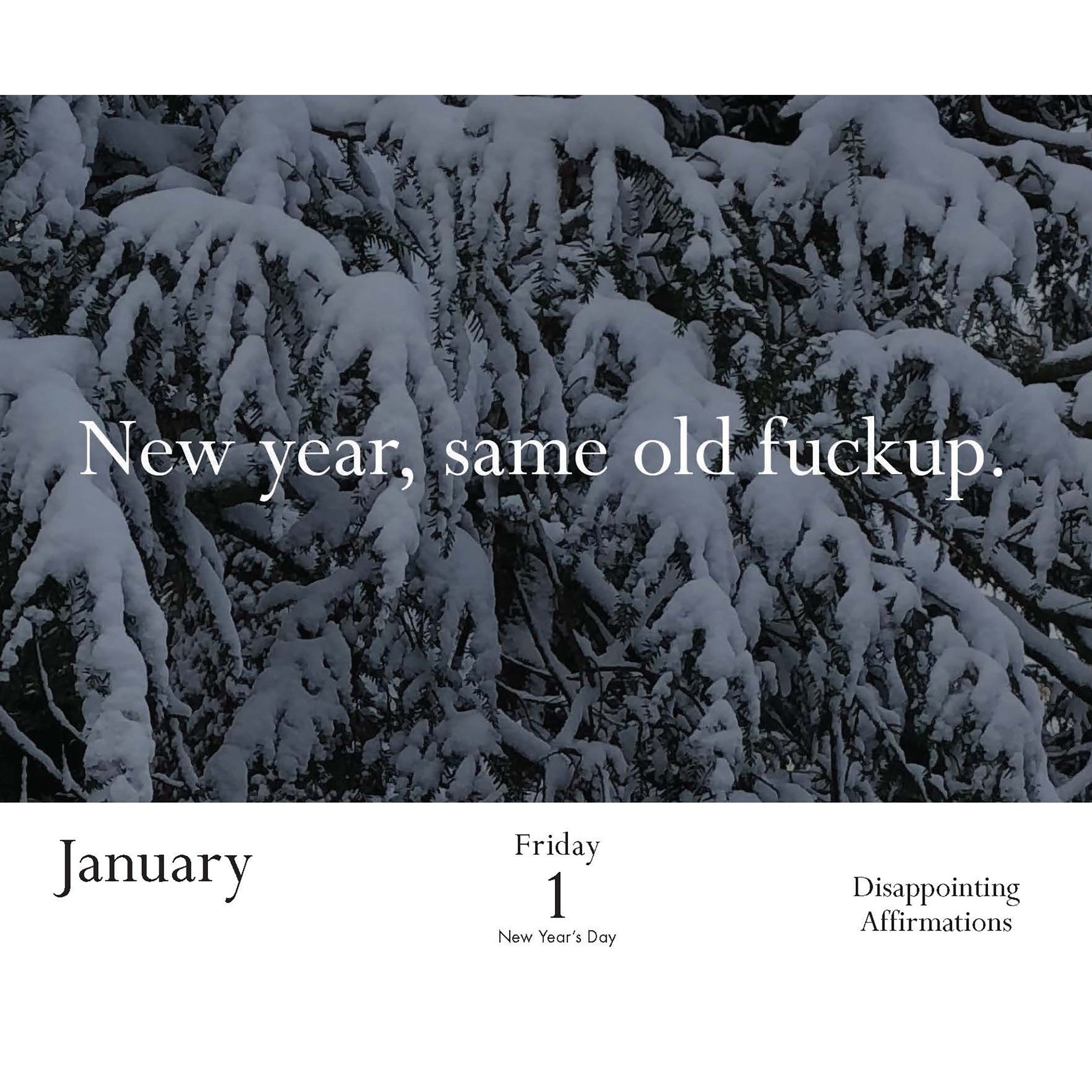 Disappointing Affirmations 2027 Box Calendar