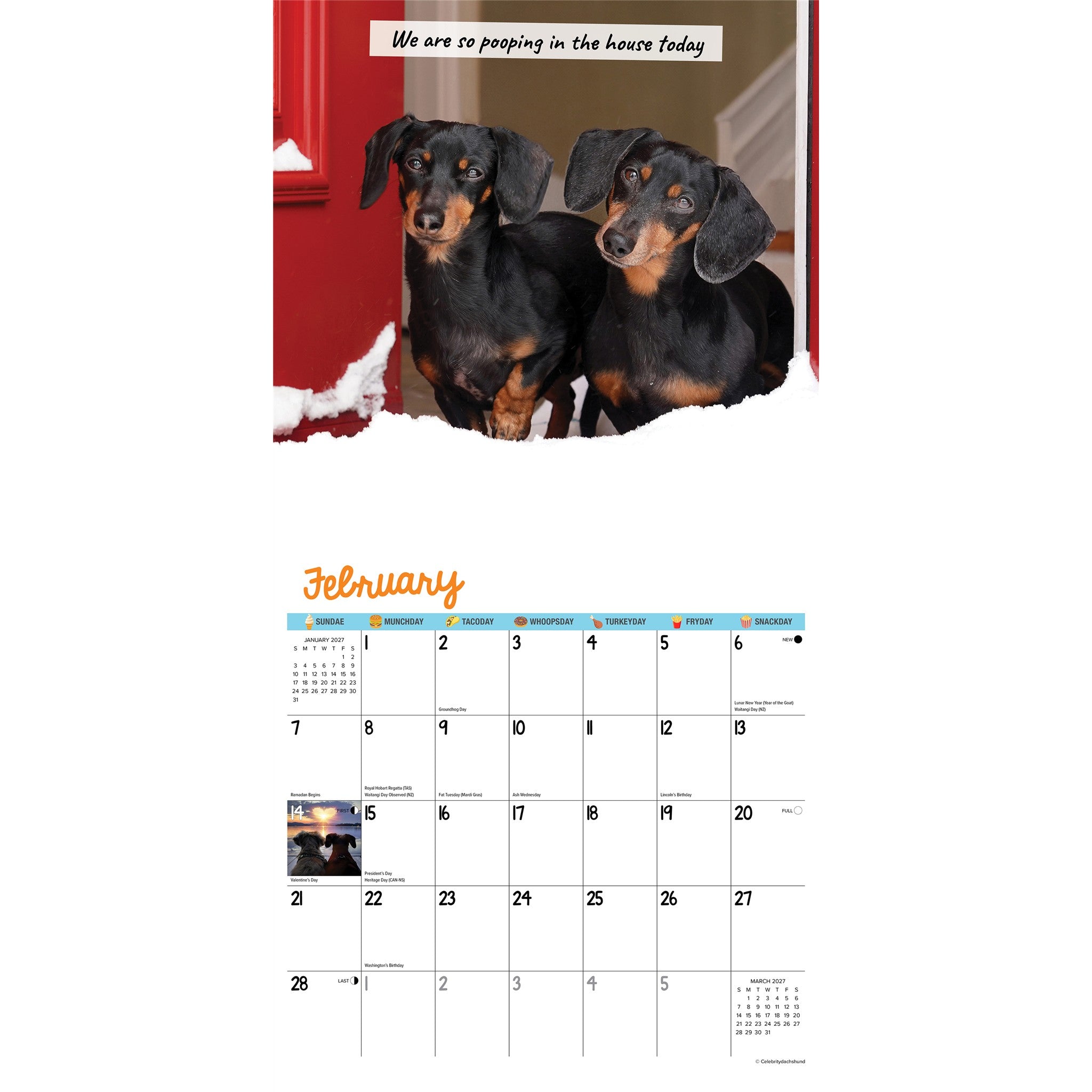 Crusoe the Celebrity Dachshund 2027 Wall Calendar