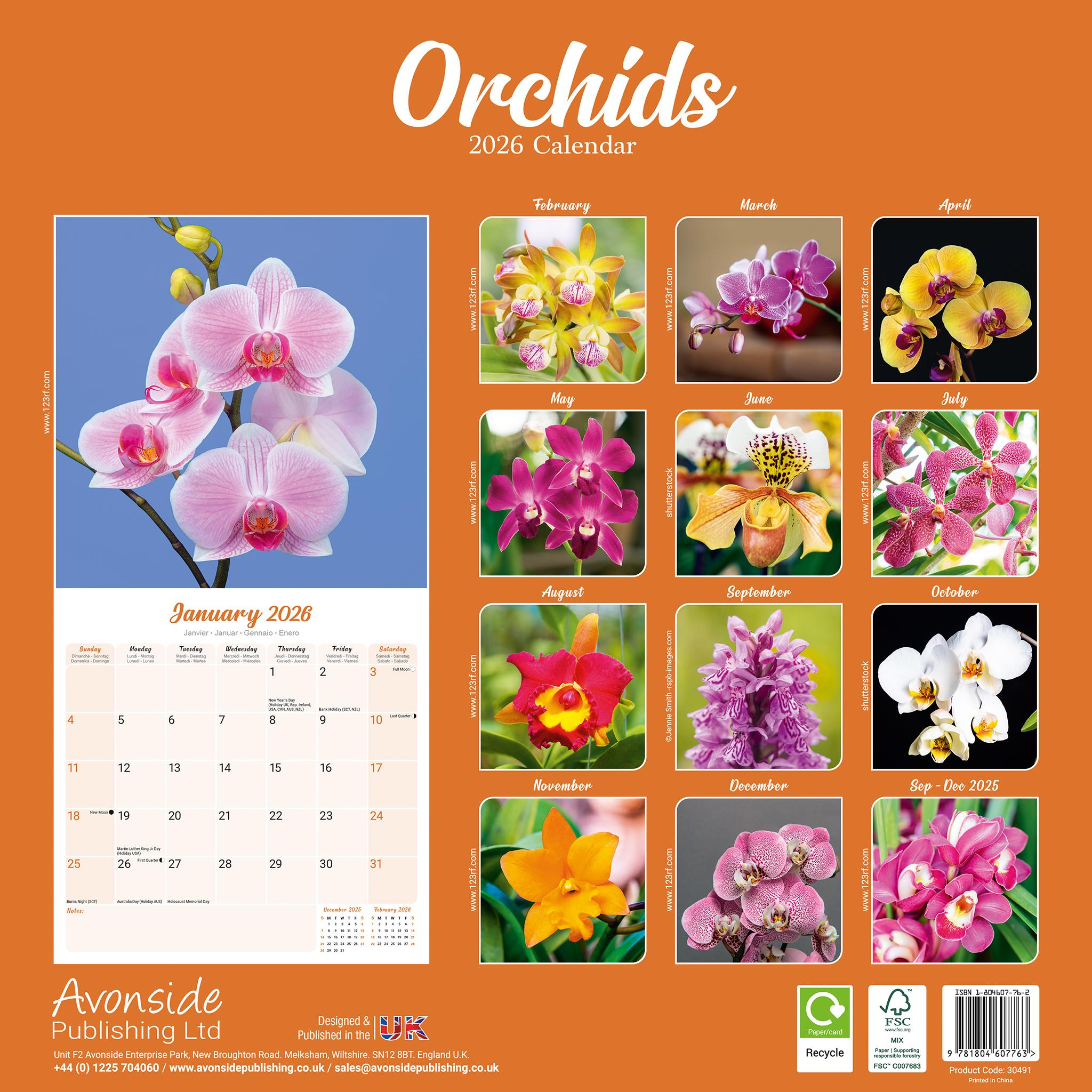 Calendrier mural Orchidées 2026
