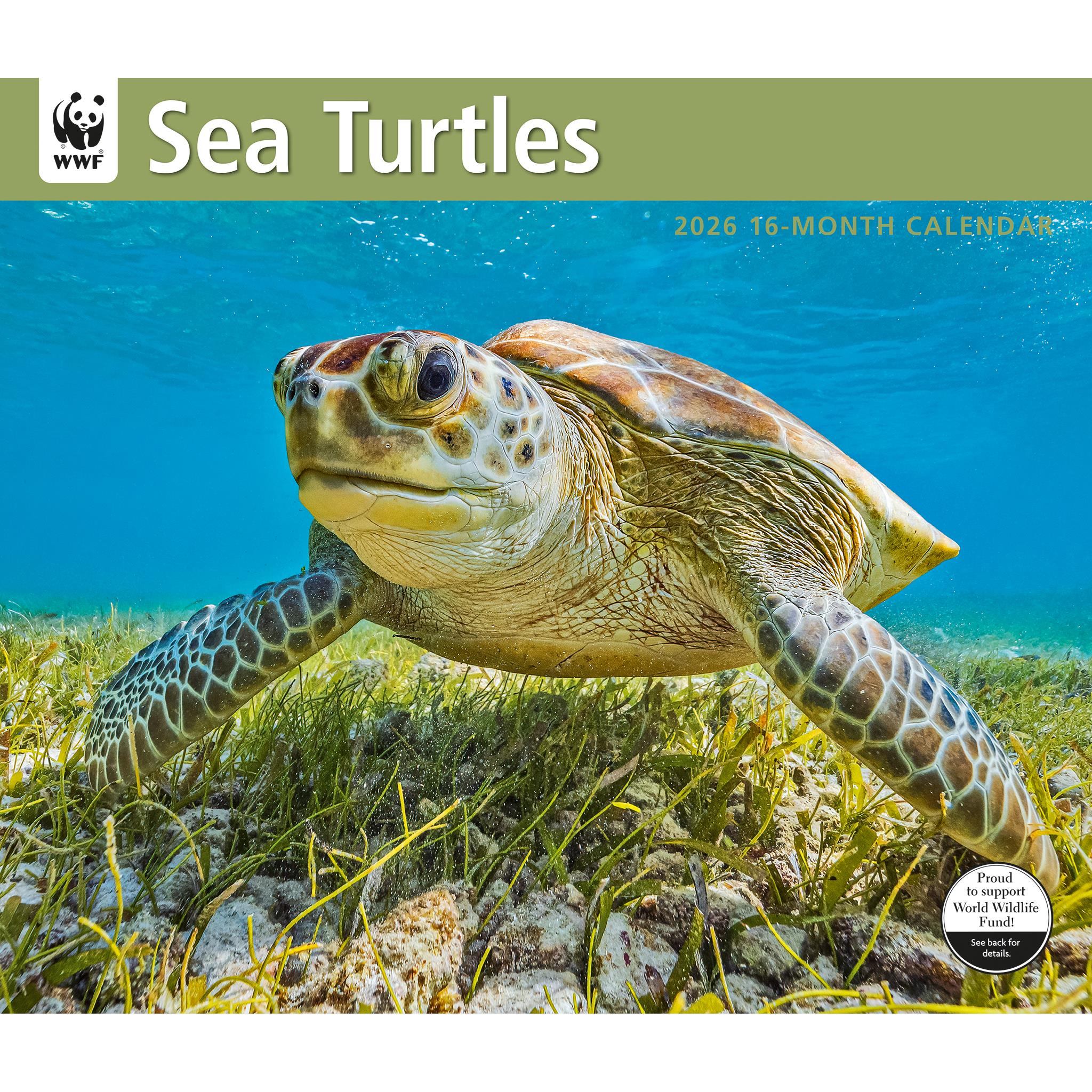 Calendrier mural 2026 du Fonds mondial pour la nature (WWF) sur les tortues marines