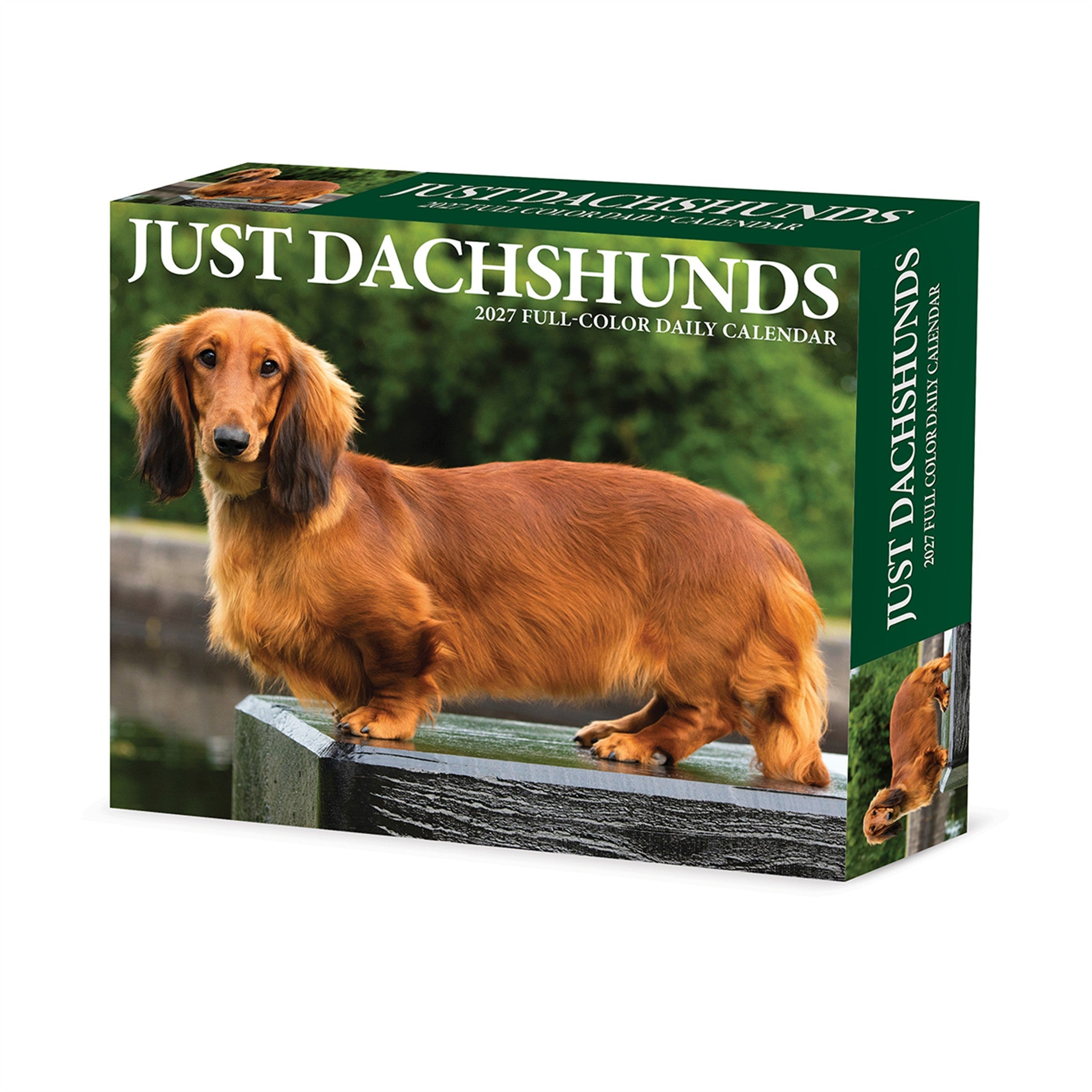 Dachshunds 2027 Box Calendar