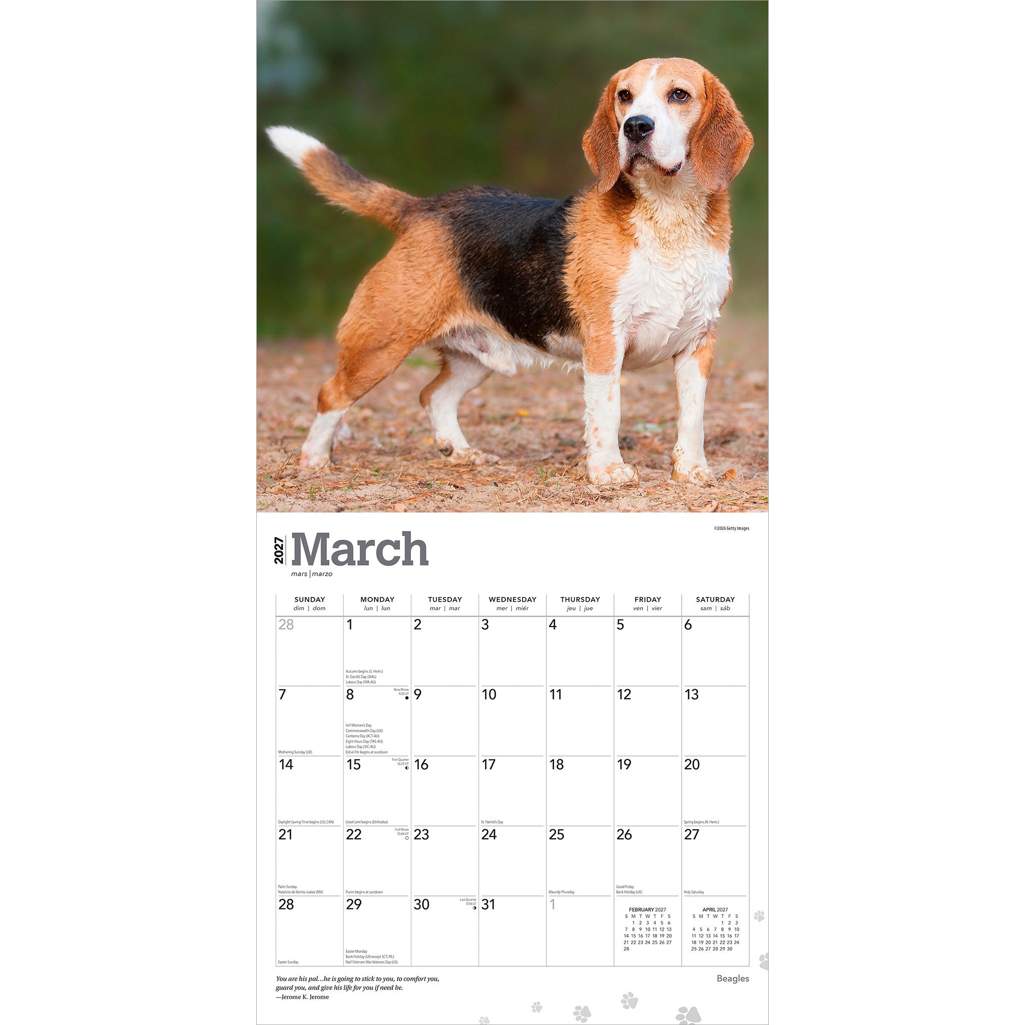 Beagles 2027 Wall Calendar