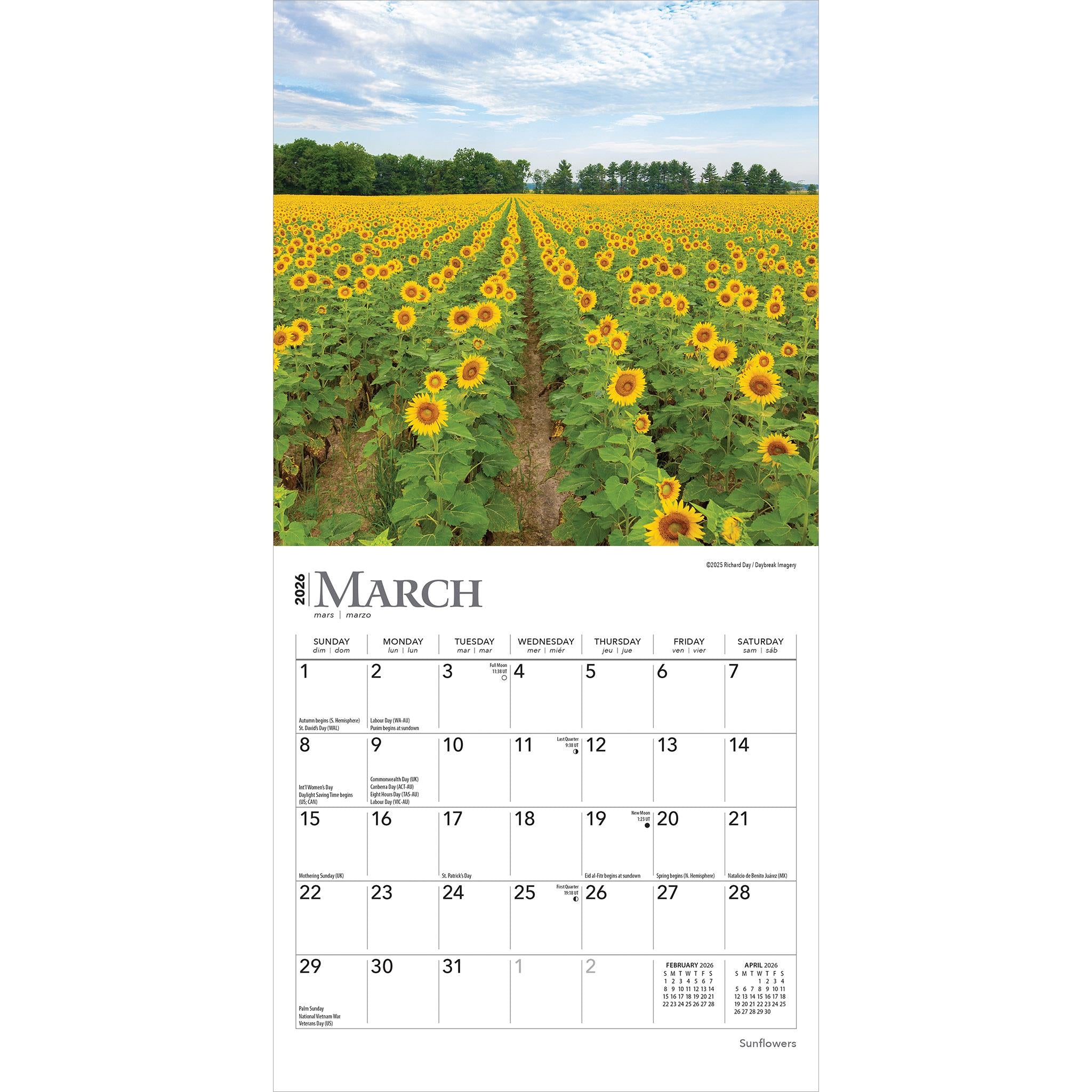 Sunflowers 2026 Mini Calendar