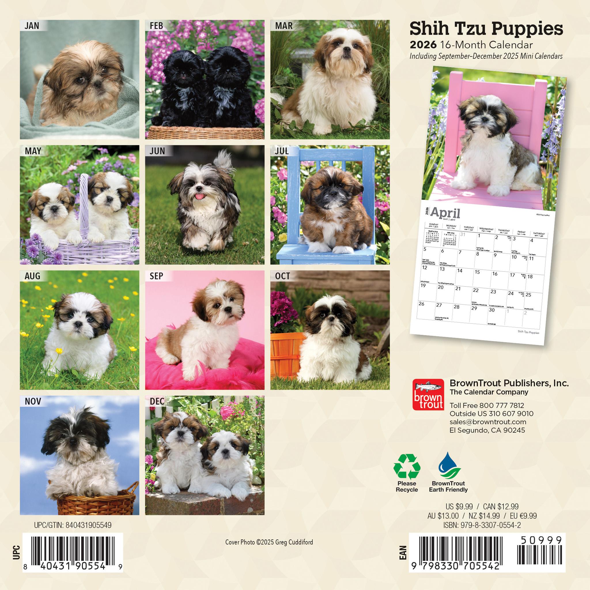 Mini calendrier 2026 des chiots Shih Tzu