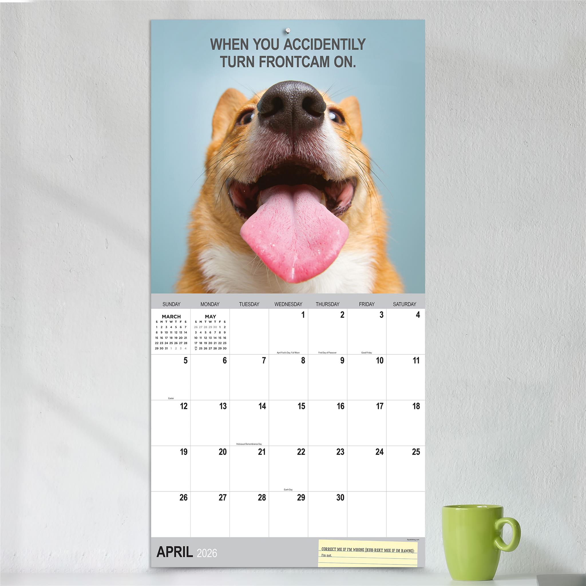 Calendrier mural Desk Dogs 2026