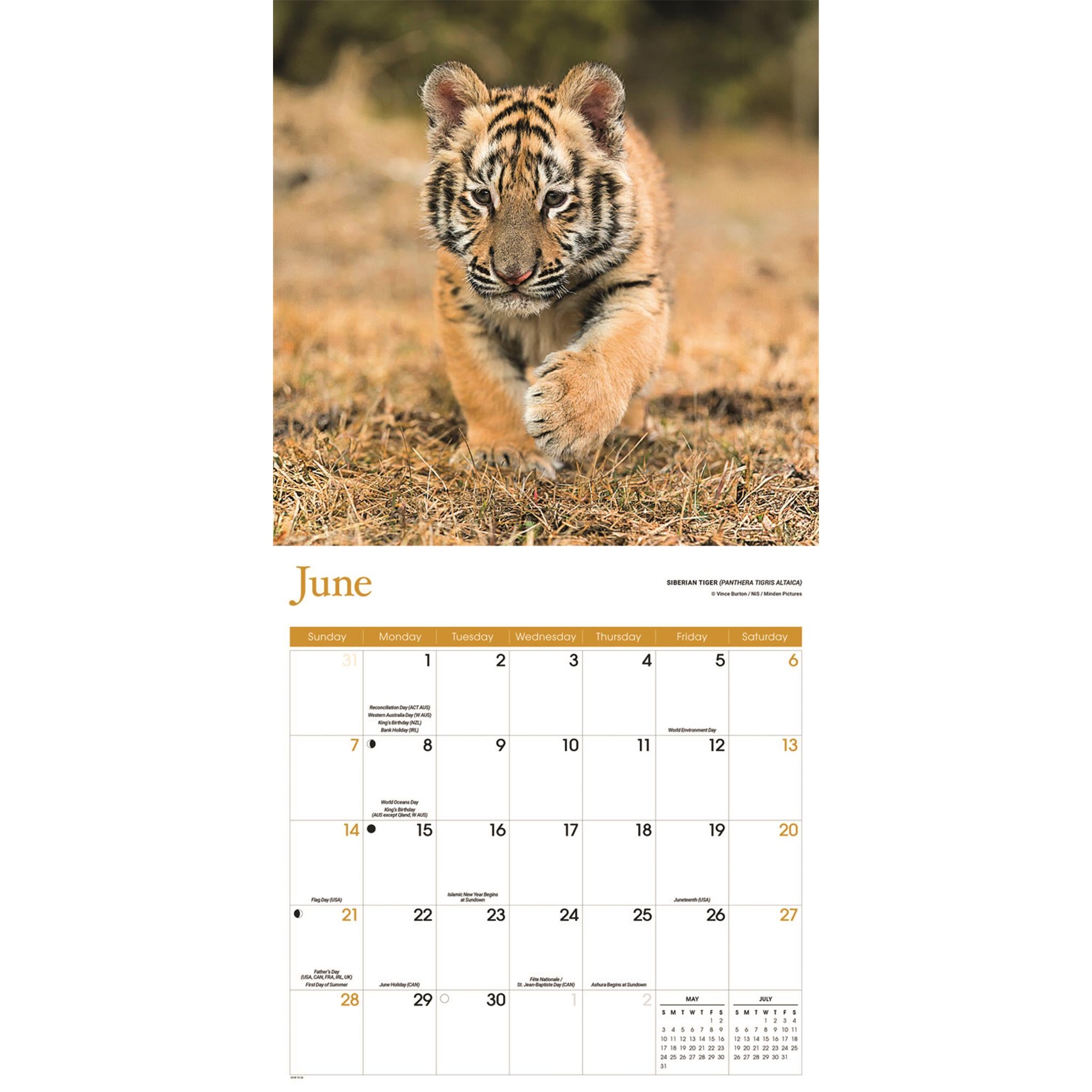 Calendrier mural Bébés Animaux 2026