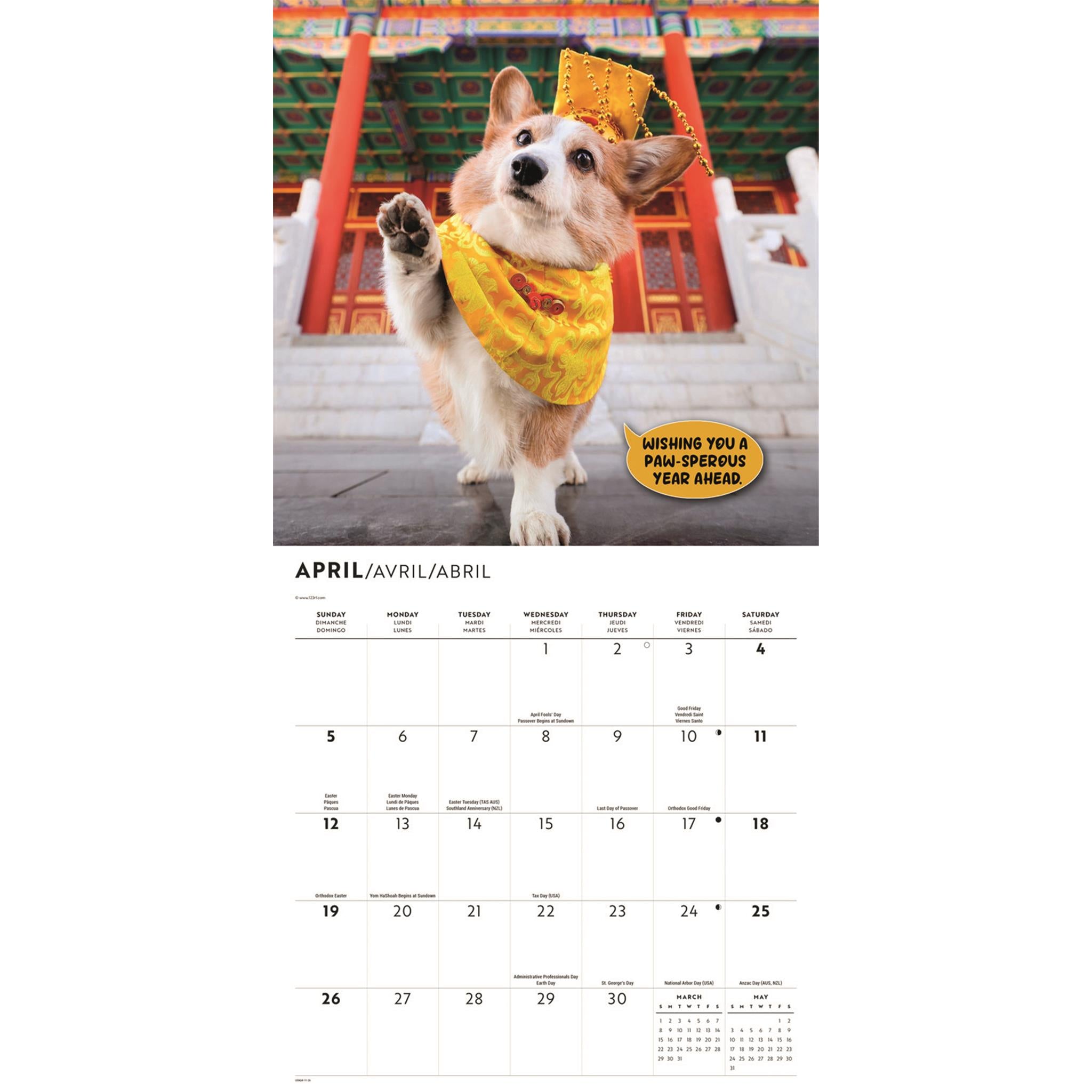 Calendrier mural Corgi Capers 2026