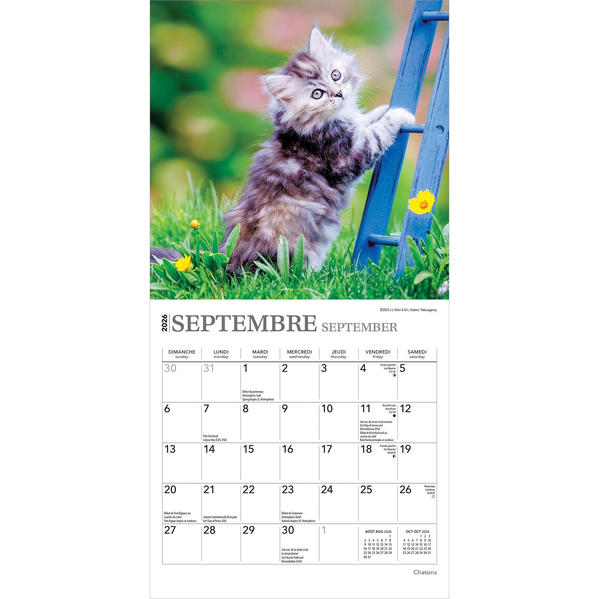 Chatons 2026 Mini Calendar (French)