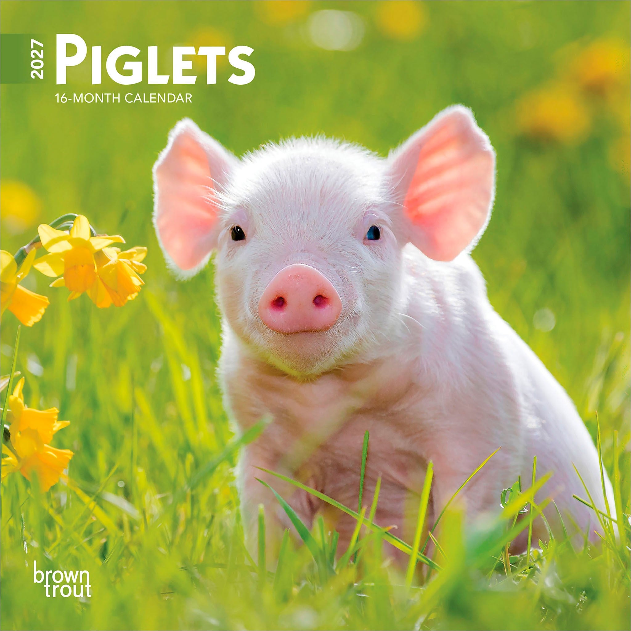 Piglets 2027 Mini Calendar