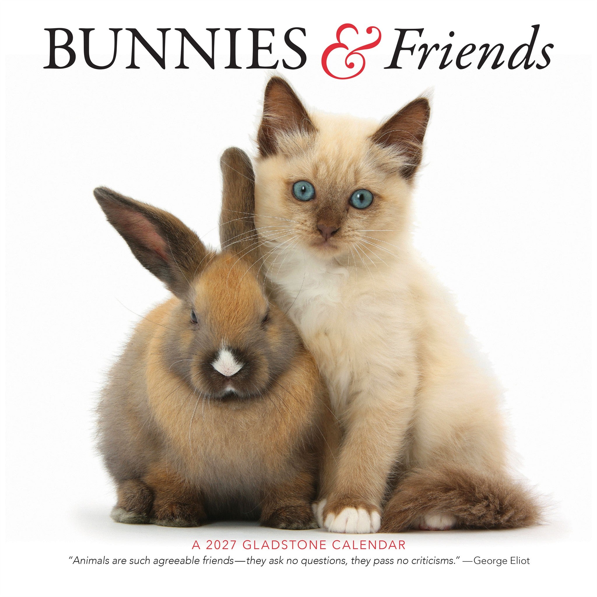 Calendrier mural 2027 Lapins et amis
