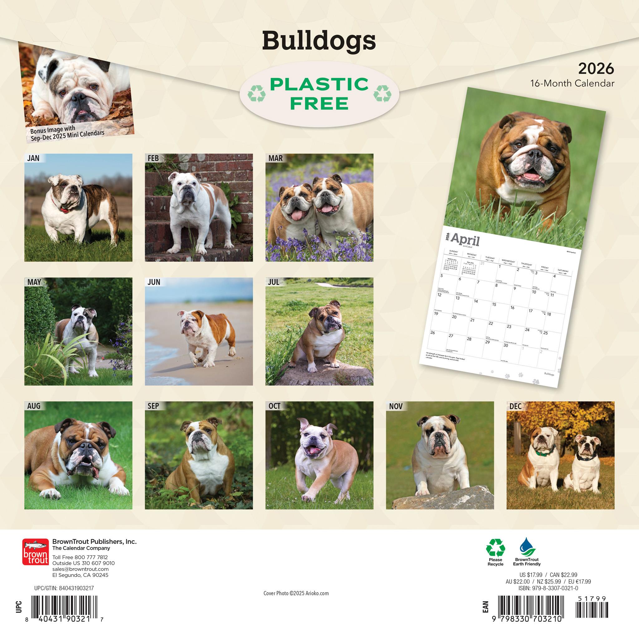 Calendrier mural Bulldogs anglais 2026