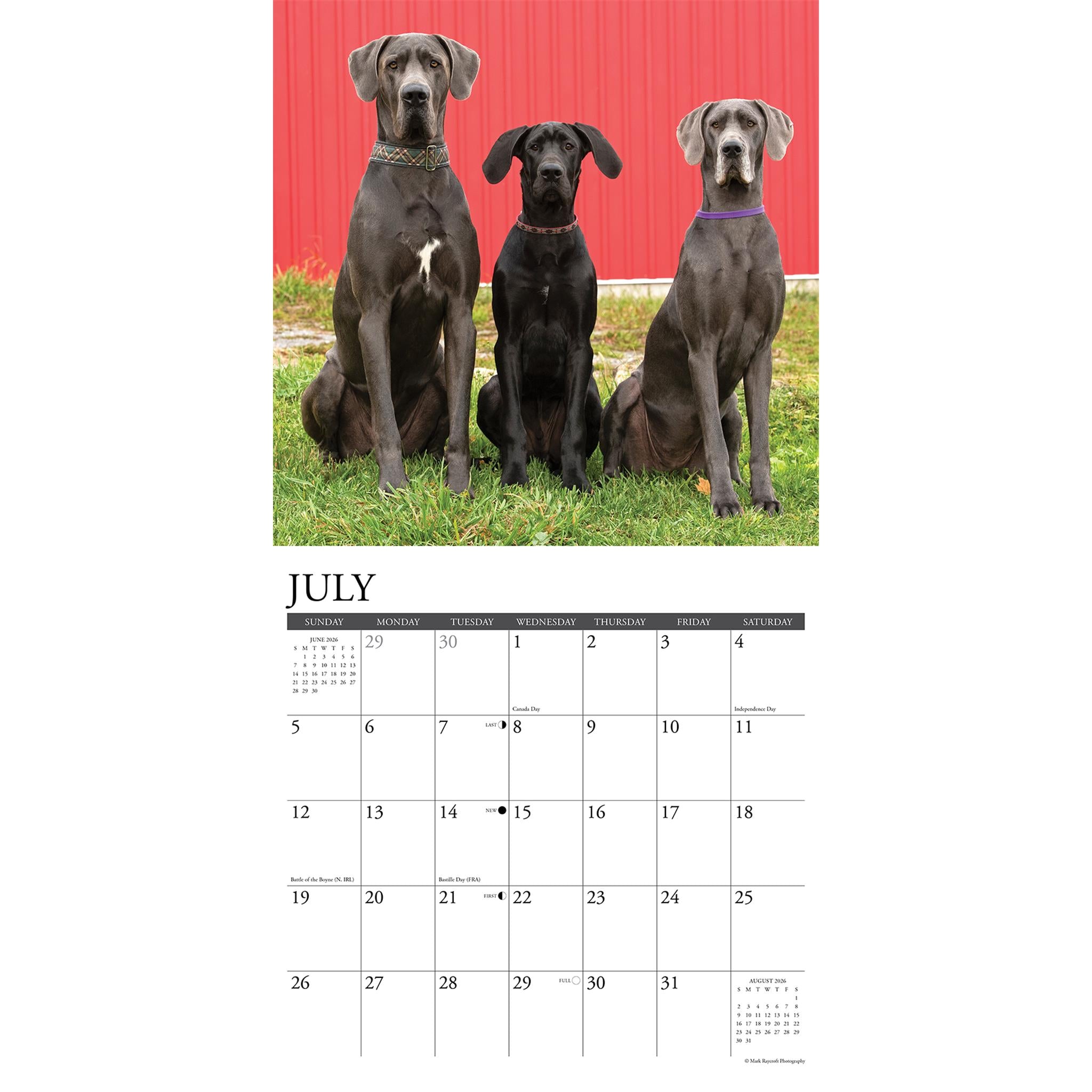 Calendrier mural Just Great Danes 2026