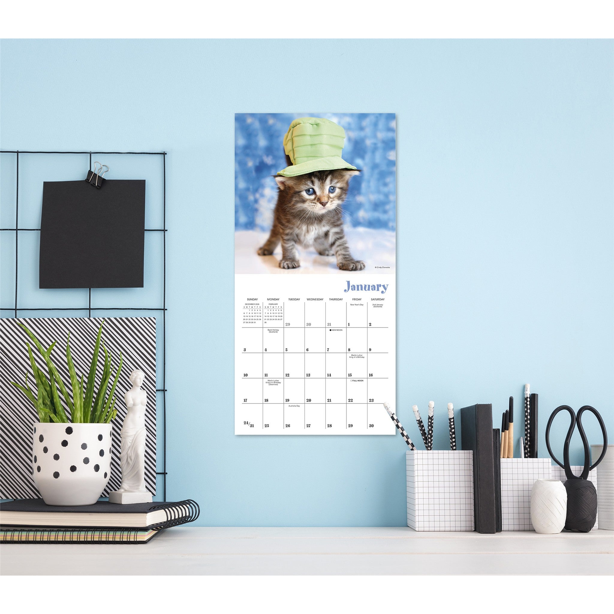 Cats in Hats 2027 Mini Calendar