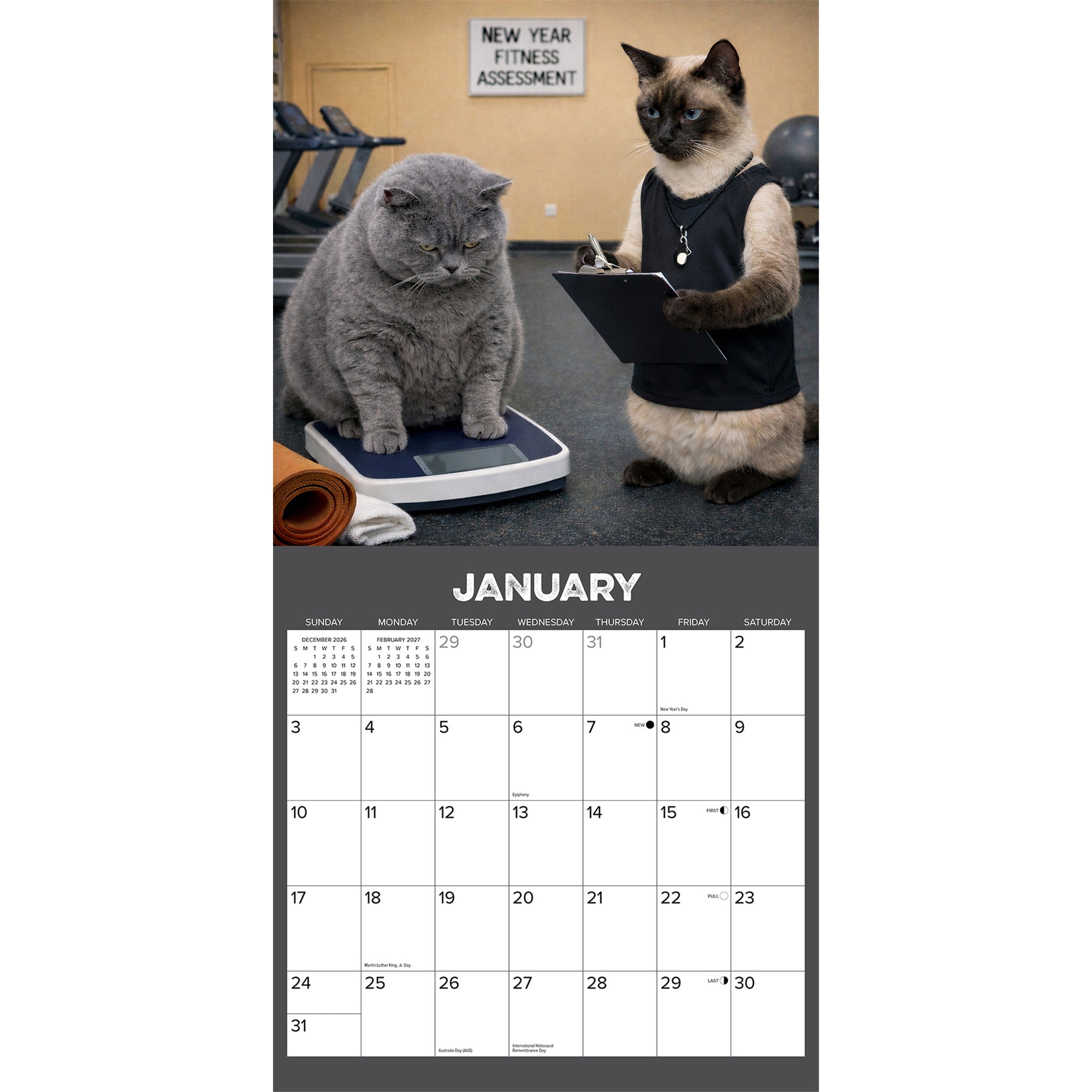 Gym Cats 2027 Wall Calendar