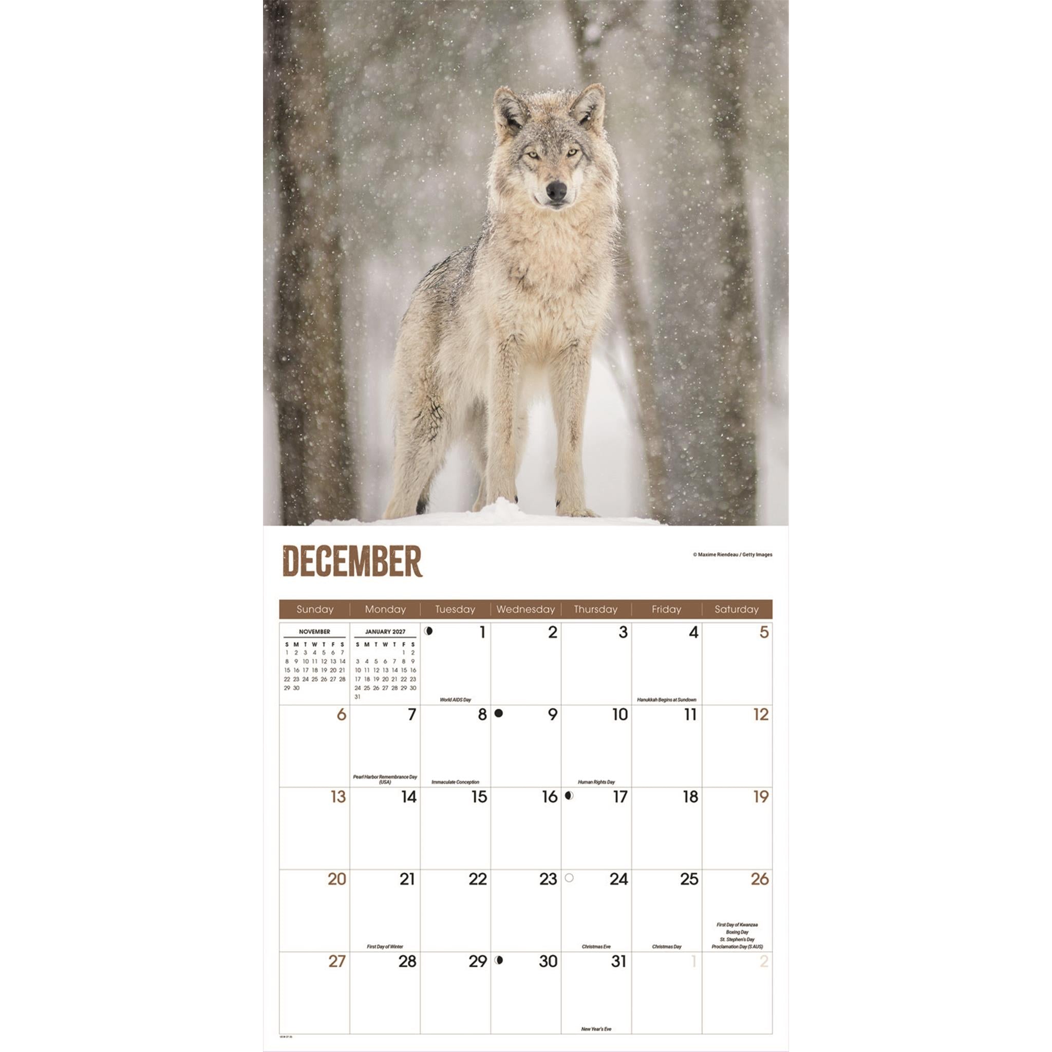 Wolves 2026 Wall Calendar