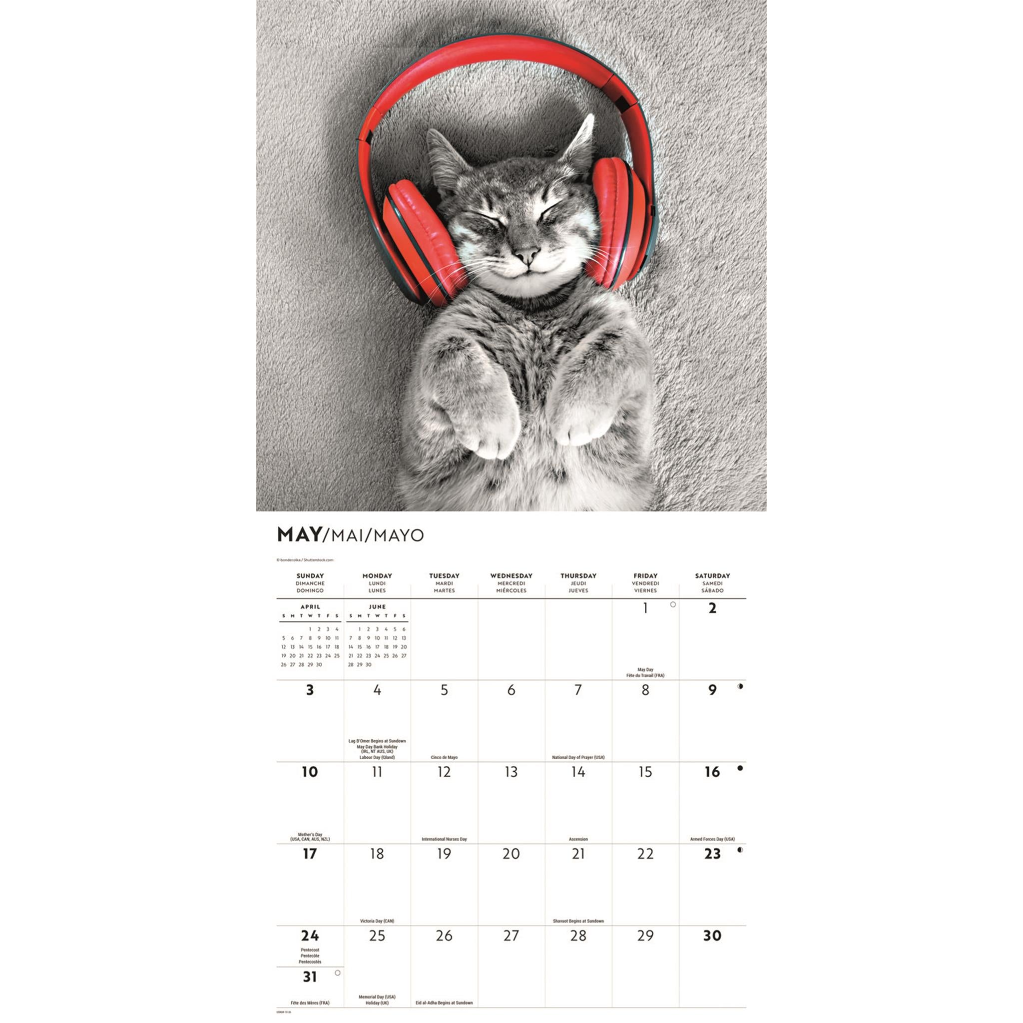 Calendrier mural Chats classiques 2026