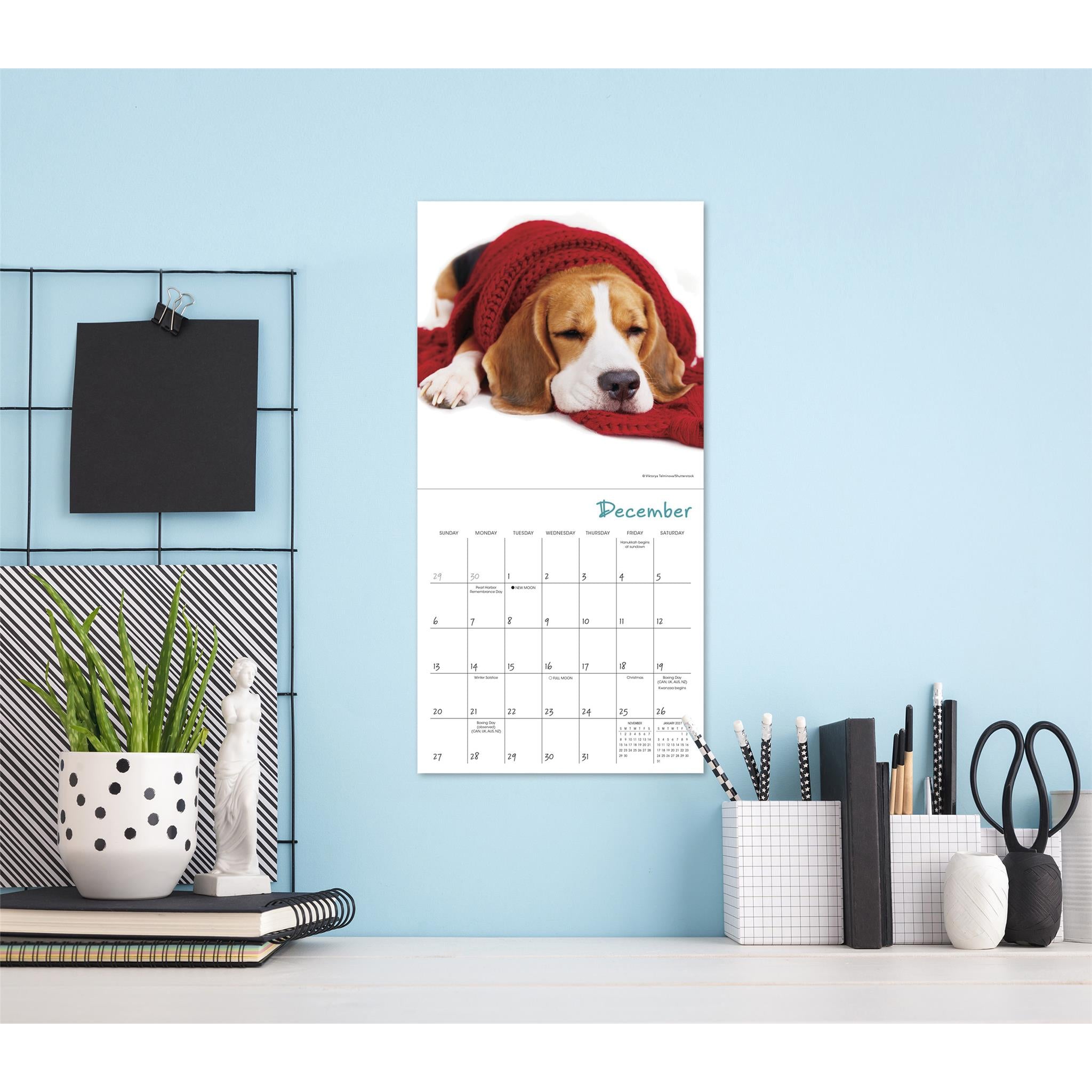 Pooped Puppies 2026 Mini Calendar