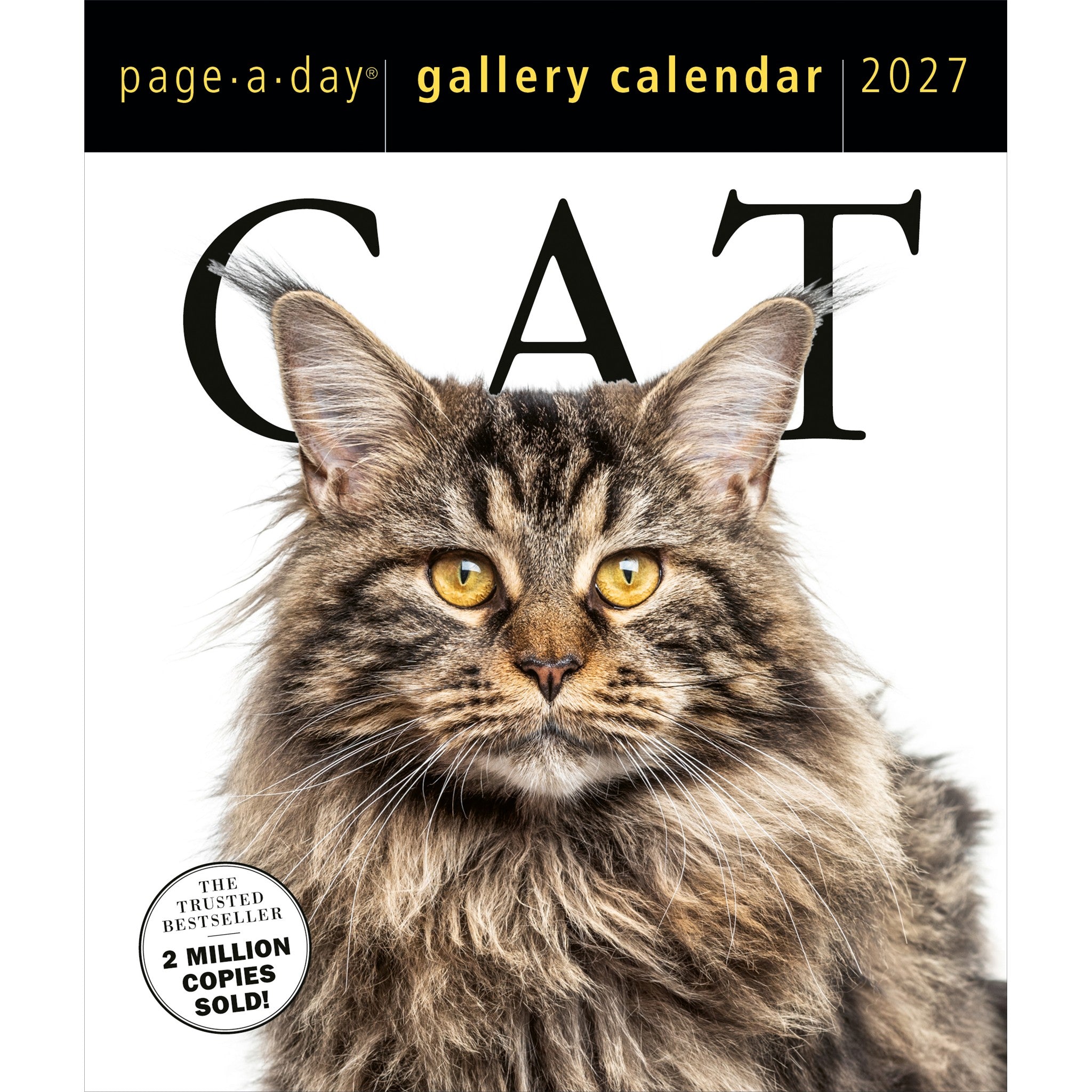 Cat Gallery 2027 Box Calendar