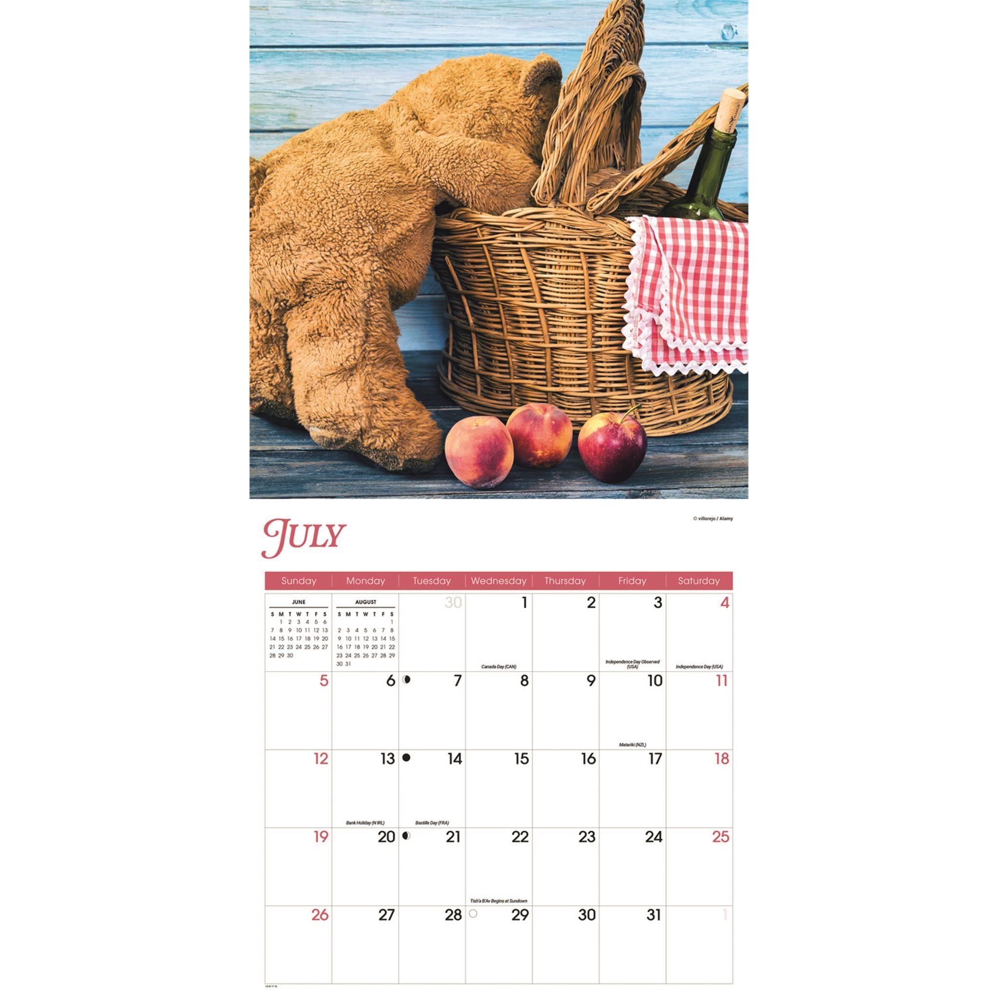 Teddy Bears 2026 Wall Calendar