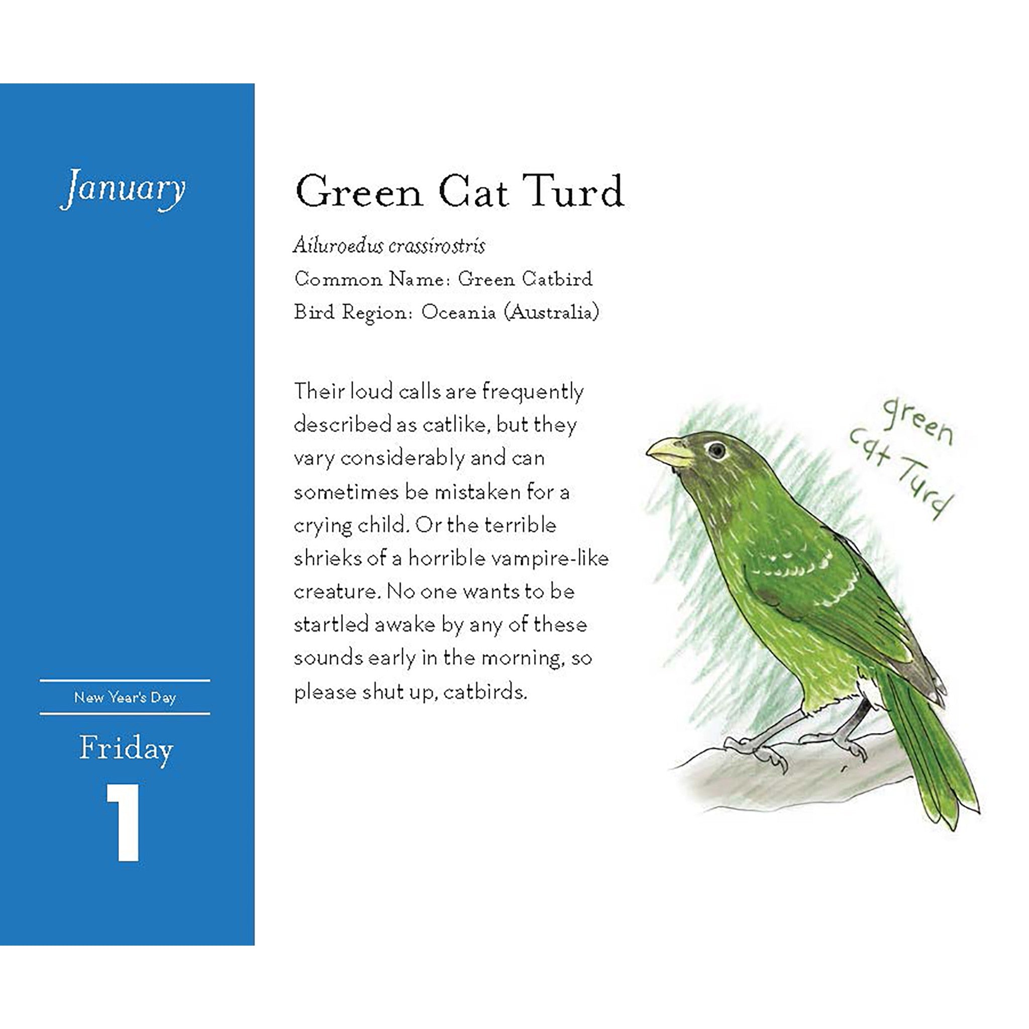 Field Guide to Dumb Birds 2027 Box Calendar