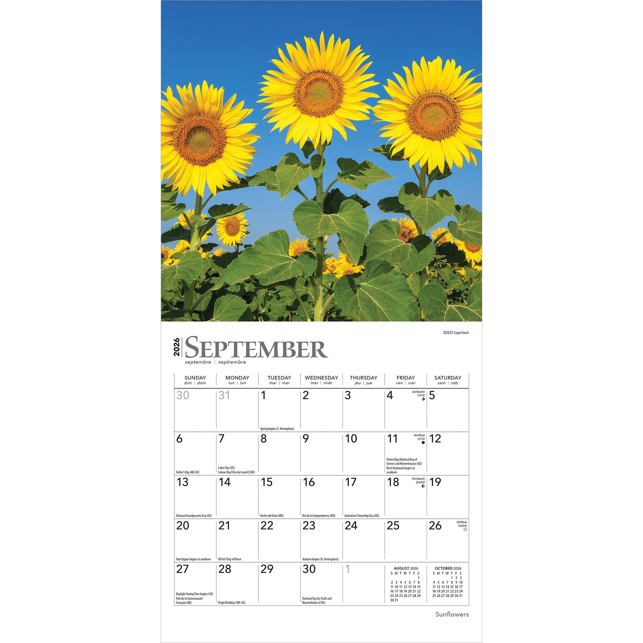 Sunflowers 2026 Mini Calendar