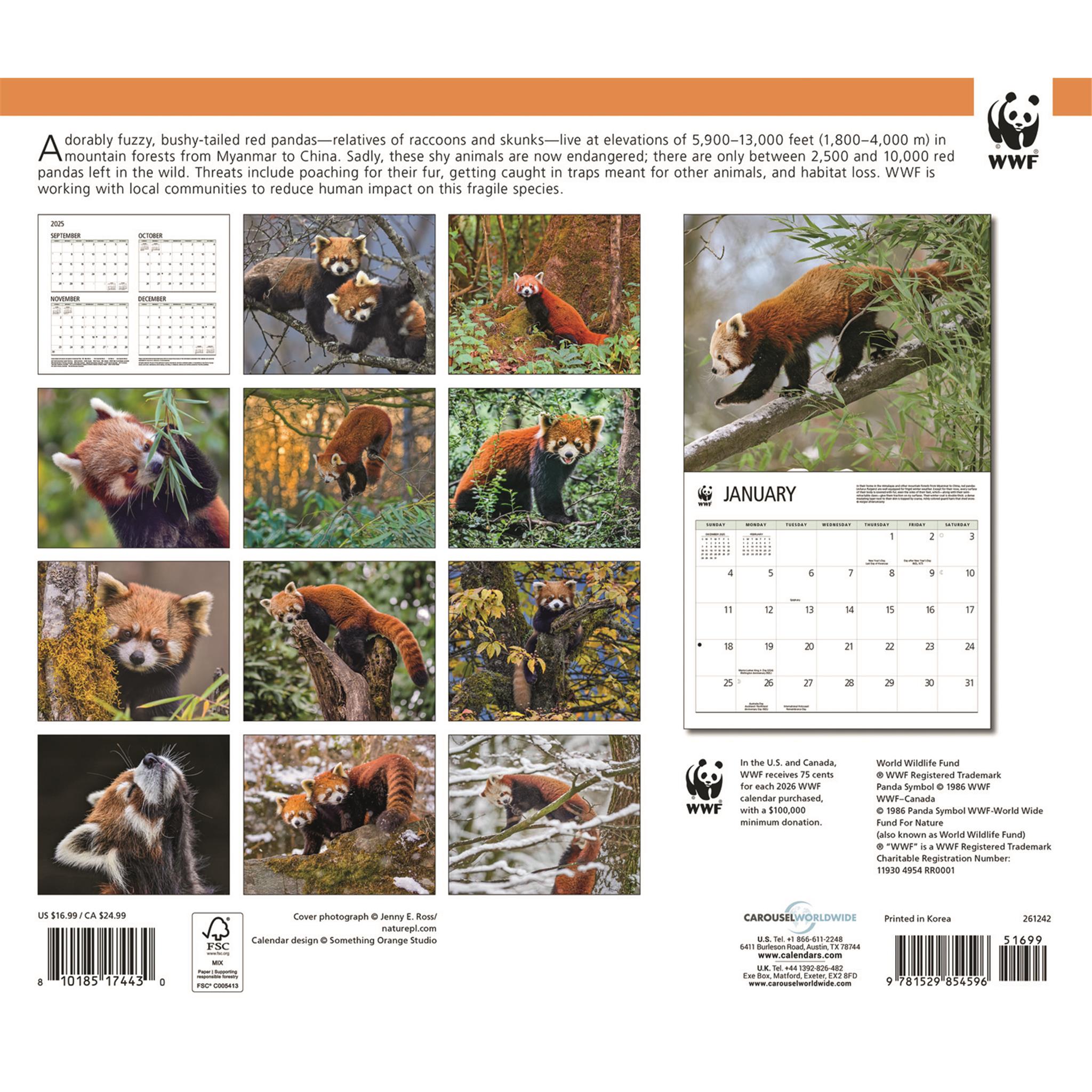 Calendrier mural 2026 du Fonds mondial pour la nature (WWF) sur les pandas roux