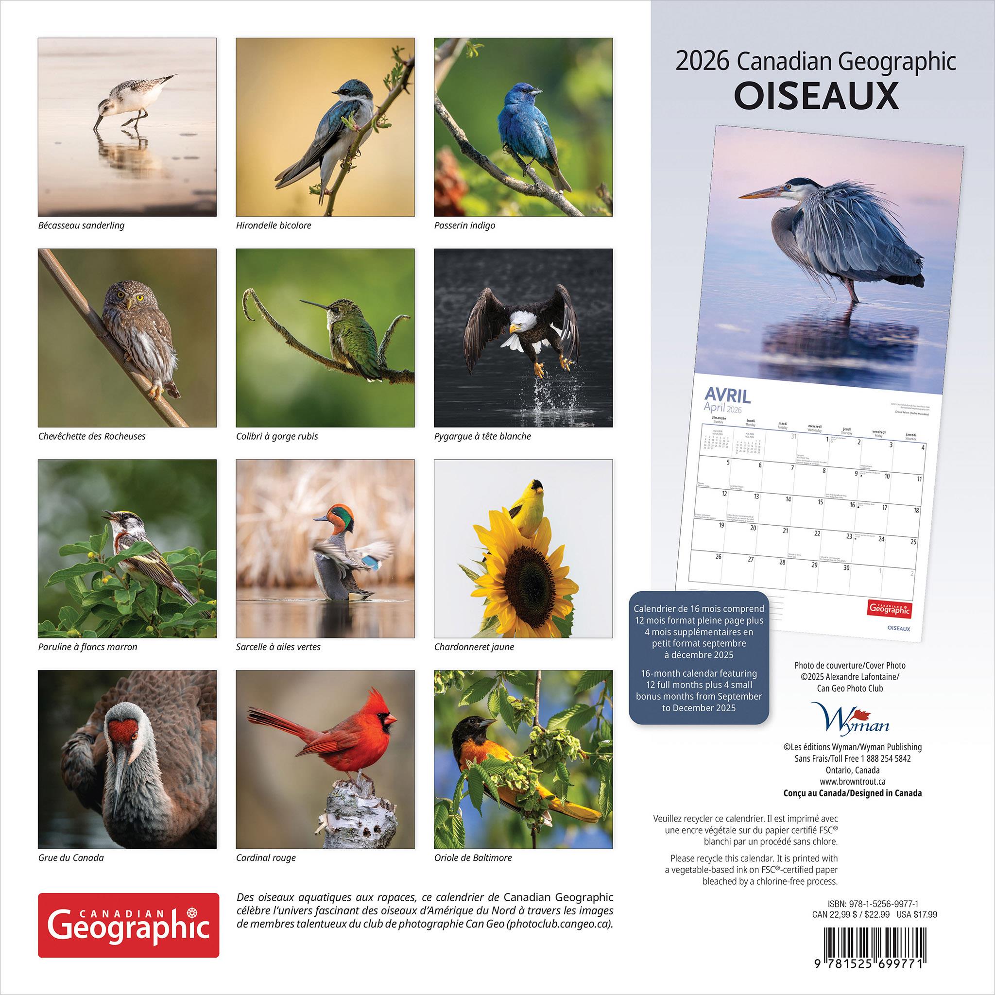 Calendrier mural Oiseaux 2026 de Canadian Geographic (français)