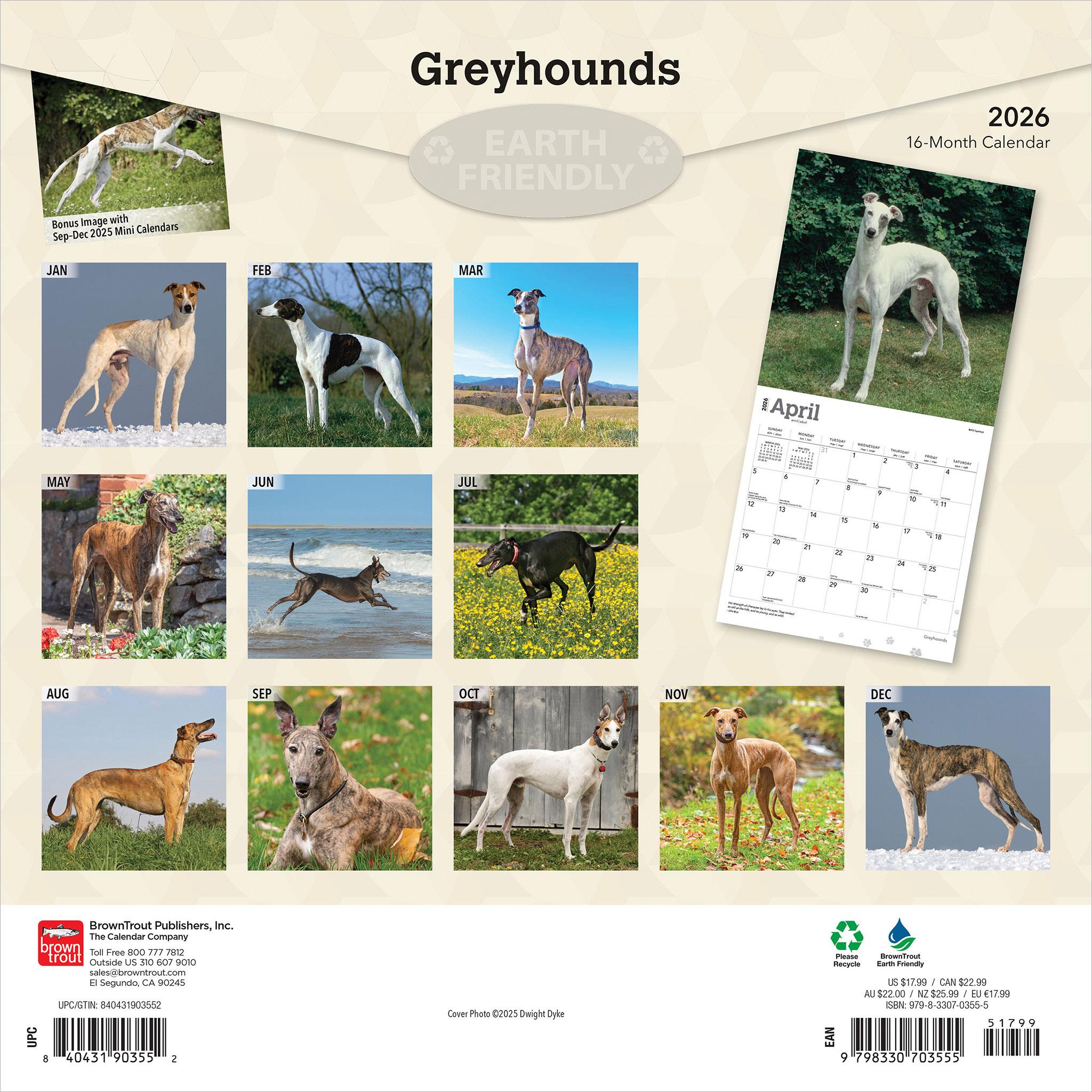 Calendrier mural Greyhounds 2026