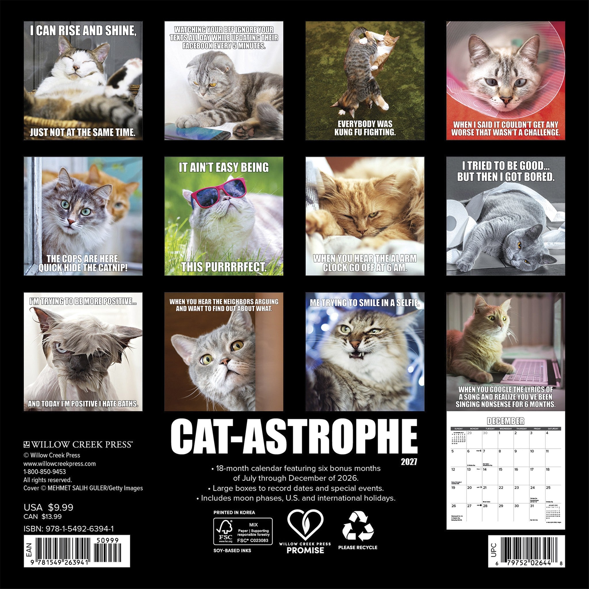 Cat-astrophe 2027 Mini Calendar