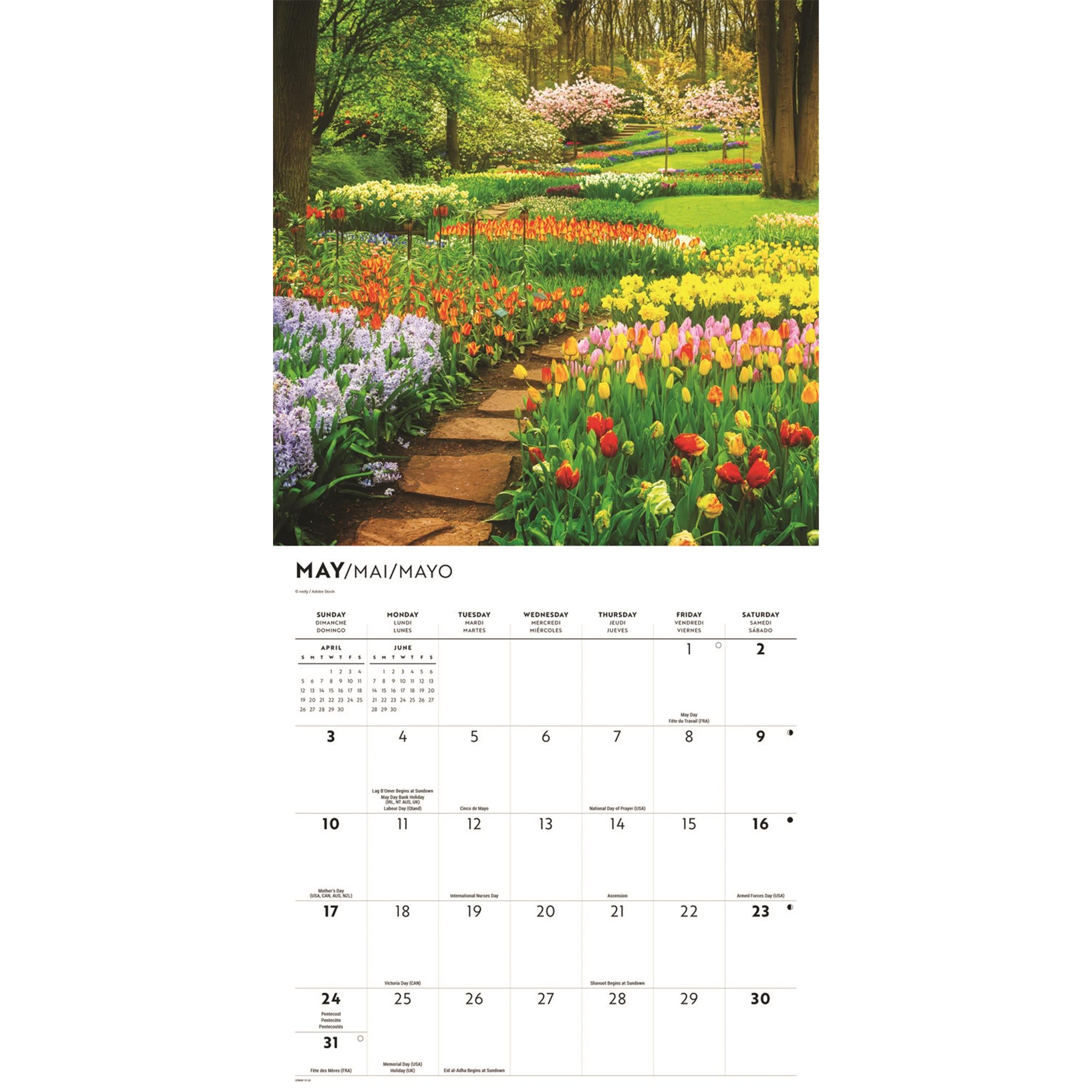In The Garden 2026 Wall Calendar