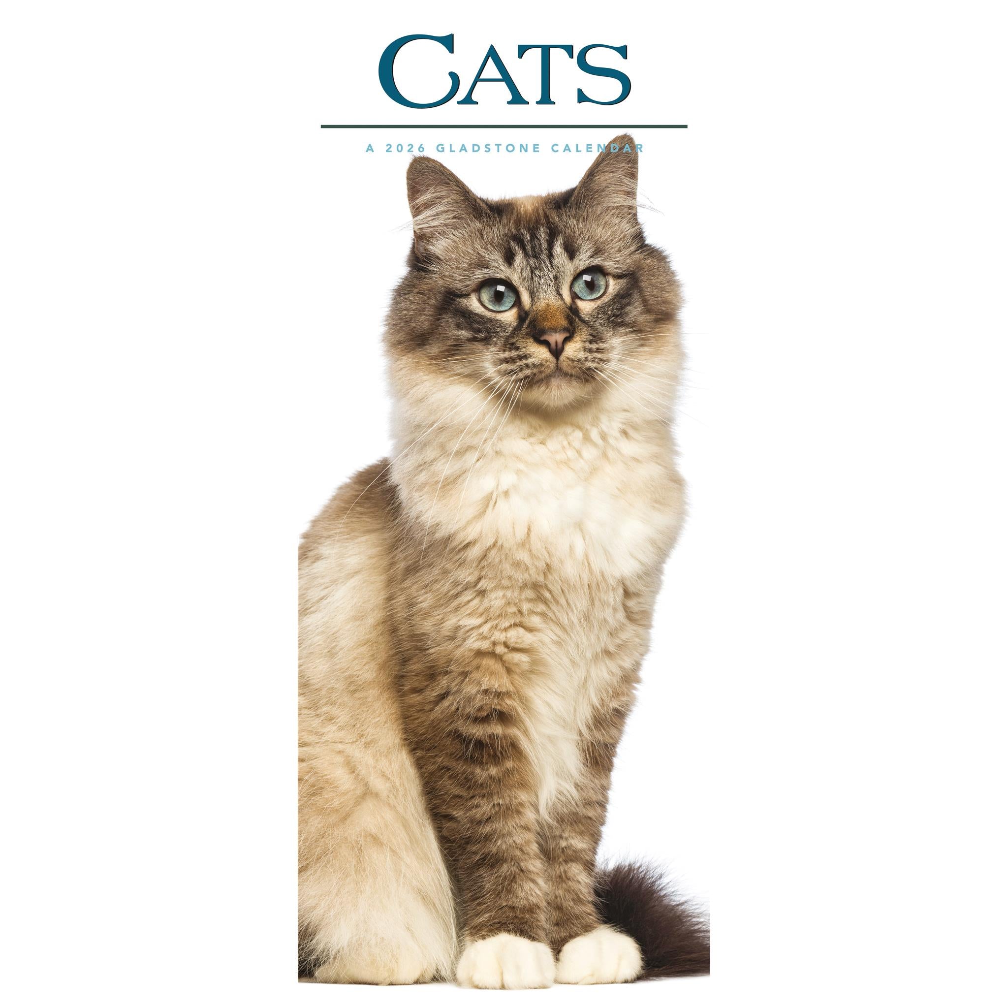 Calendrier des chats 2026